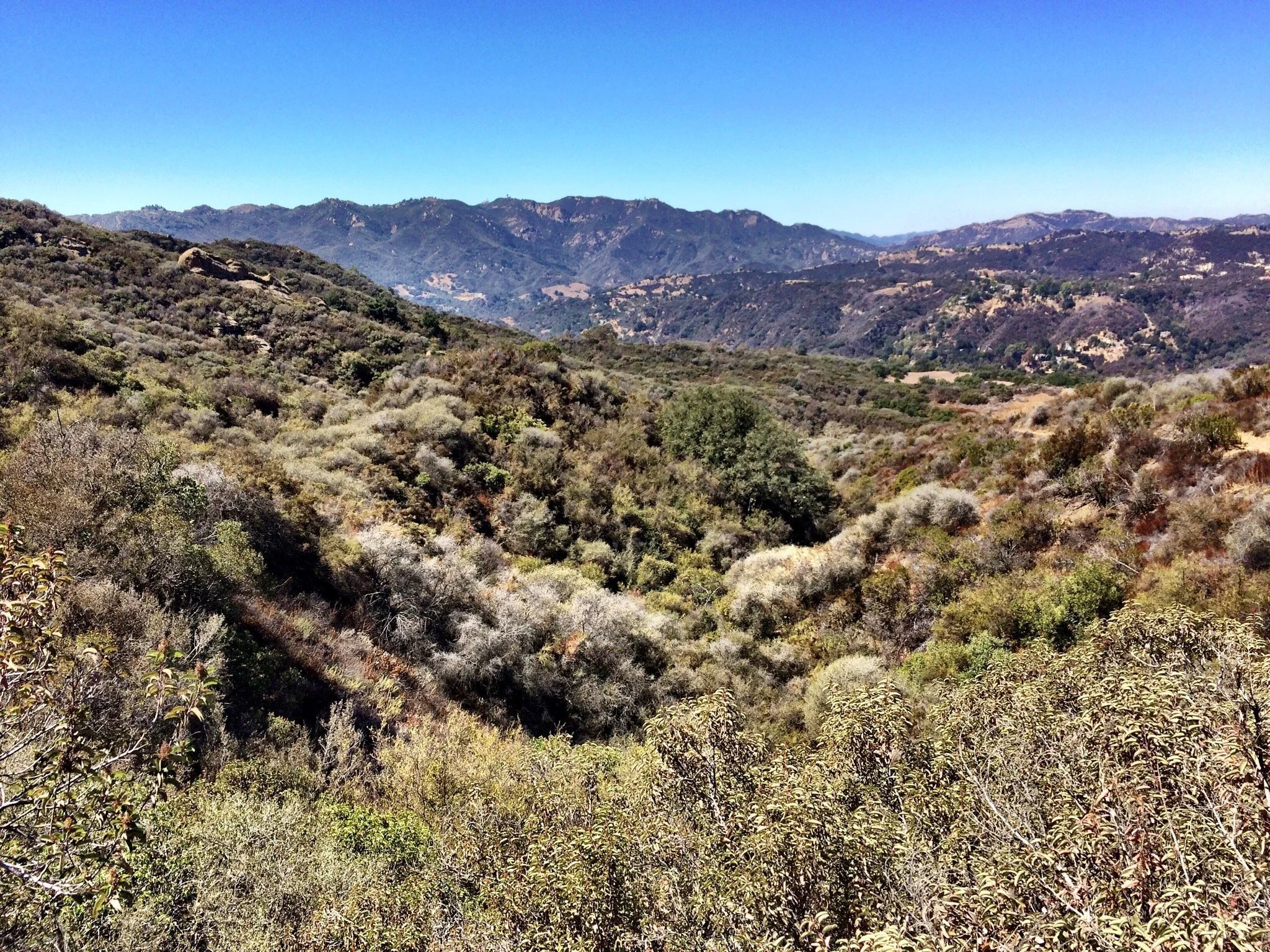 topanga-state-park-los-angeles-california.jpeg