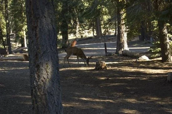 warner-valley-campground-lassen-volcanic-national-park-california.jpeg