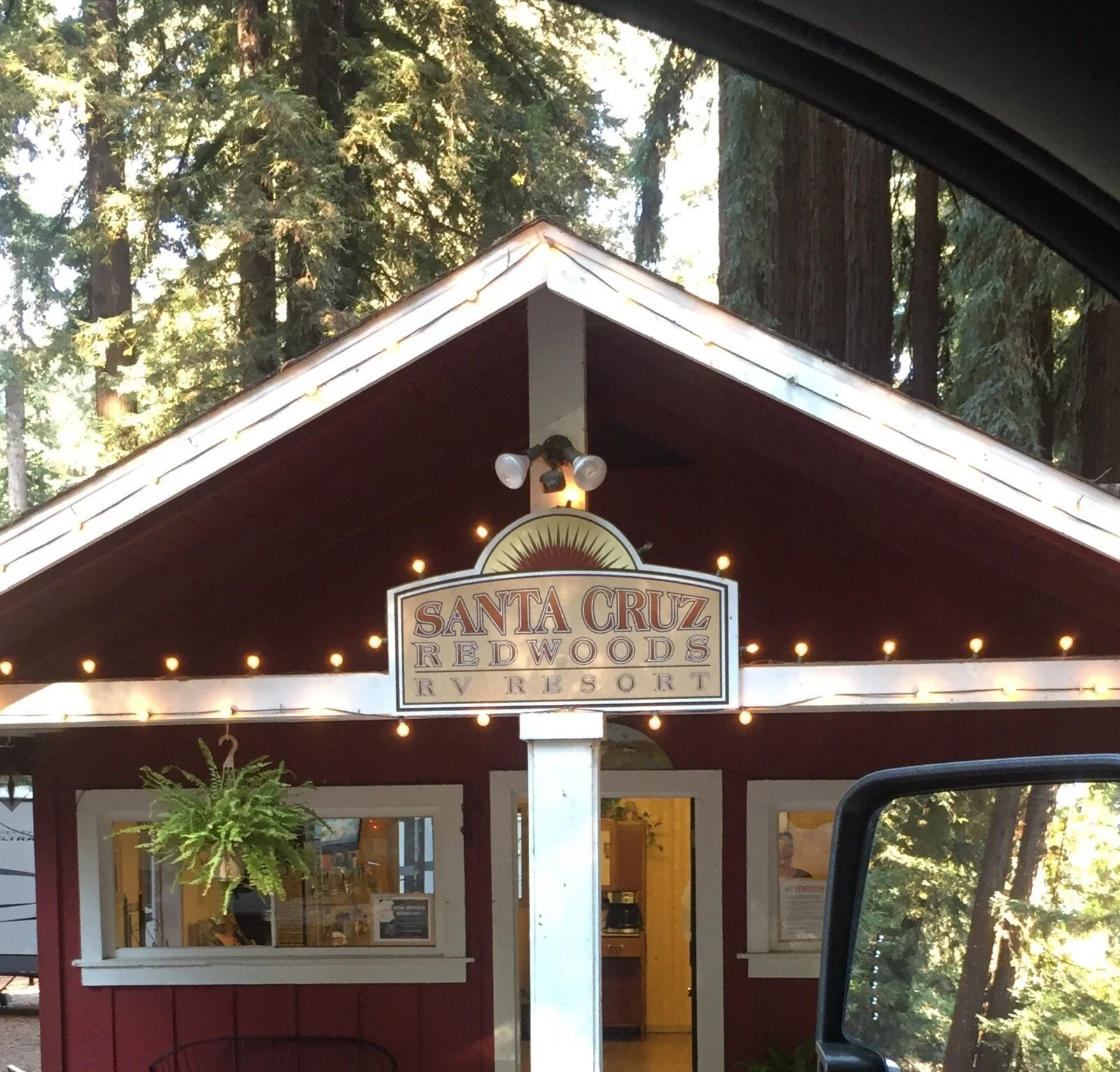 santa-cruz-redwoods-rv-resort-felton-california.jpeg