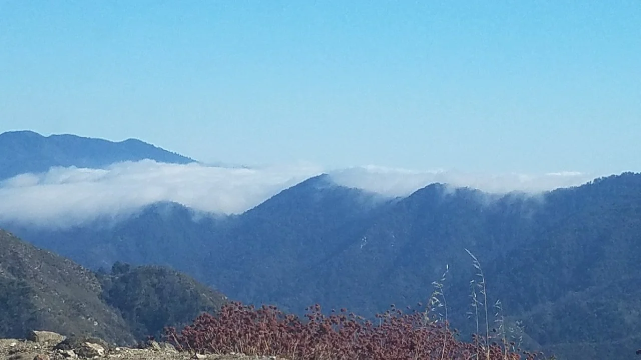 buckhorn-campground-la-canada-flintridge-california.jpeg