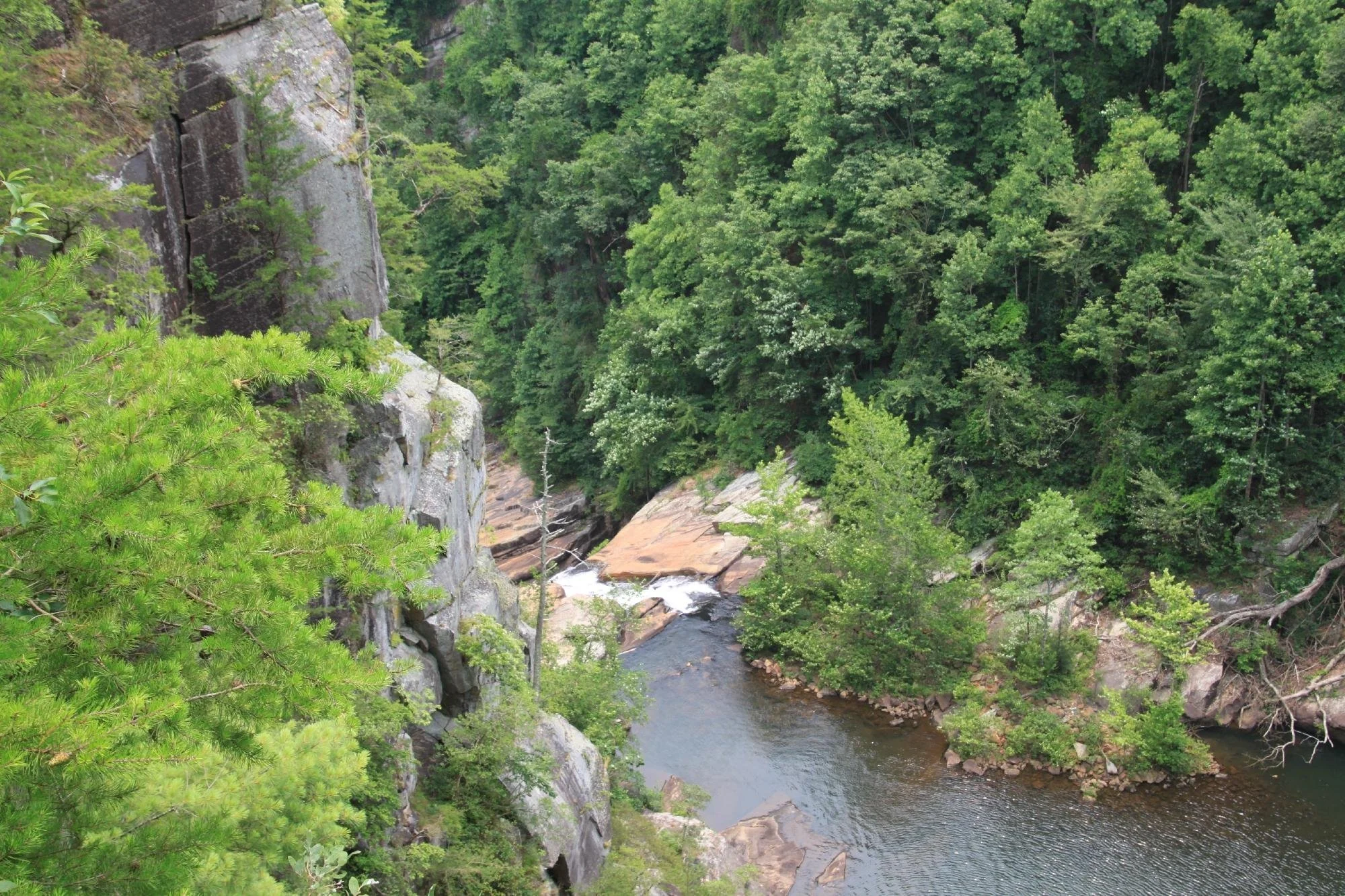tallulah-gorge-state-park-tallulah-falls-georgia.jpeg