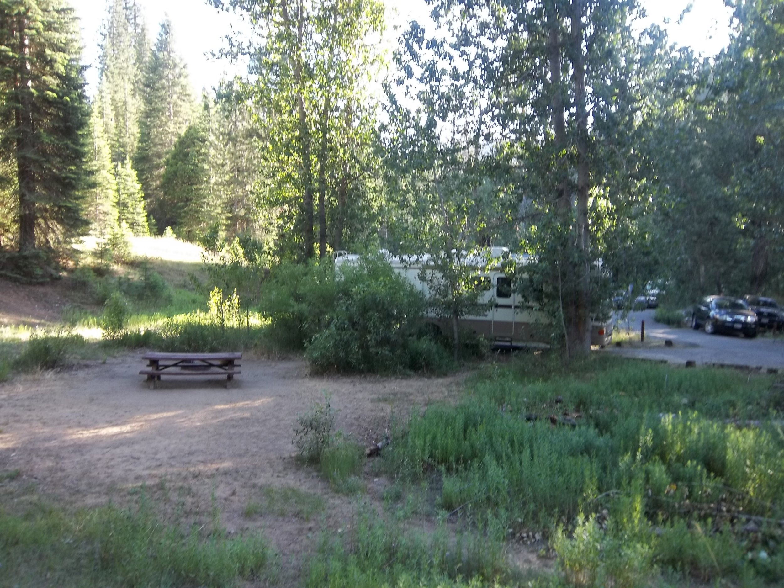 summerdale-campground-fish-camp-ca.jpeg