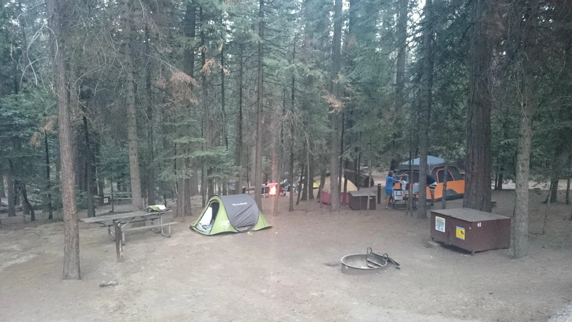 hodgdon-meadow-campground-yosemite-national-park-california.jpeg