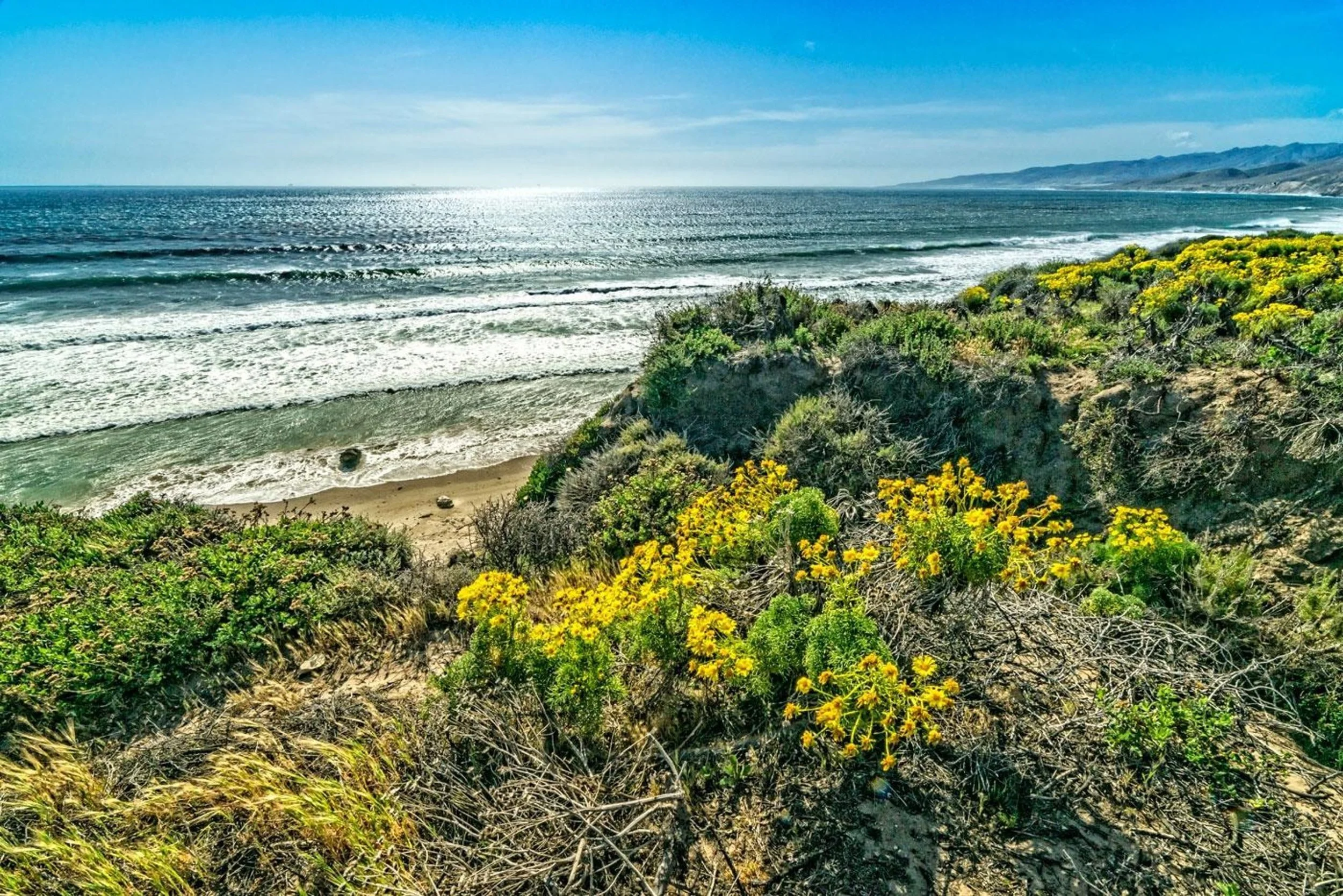 jalama-beach-county-park-lompoc-california.jpeg