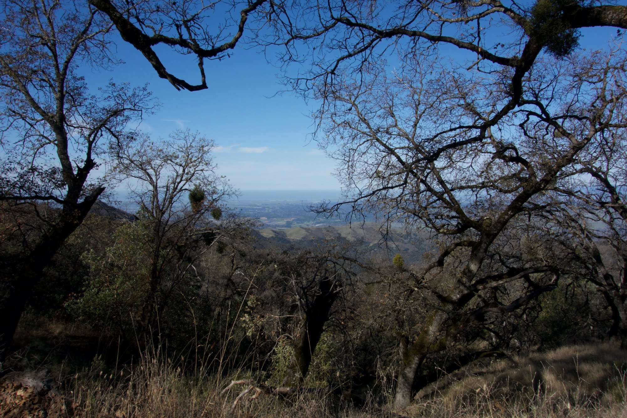 fremont-peak-state-park-san-juan-bautista-california.jpeg
