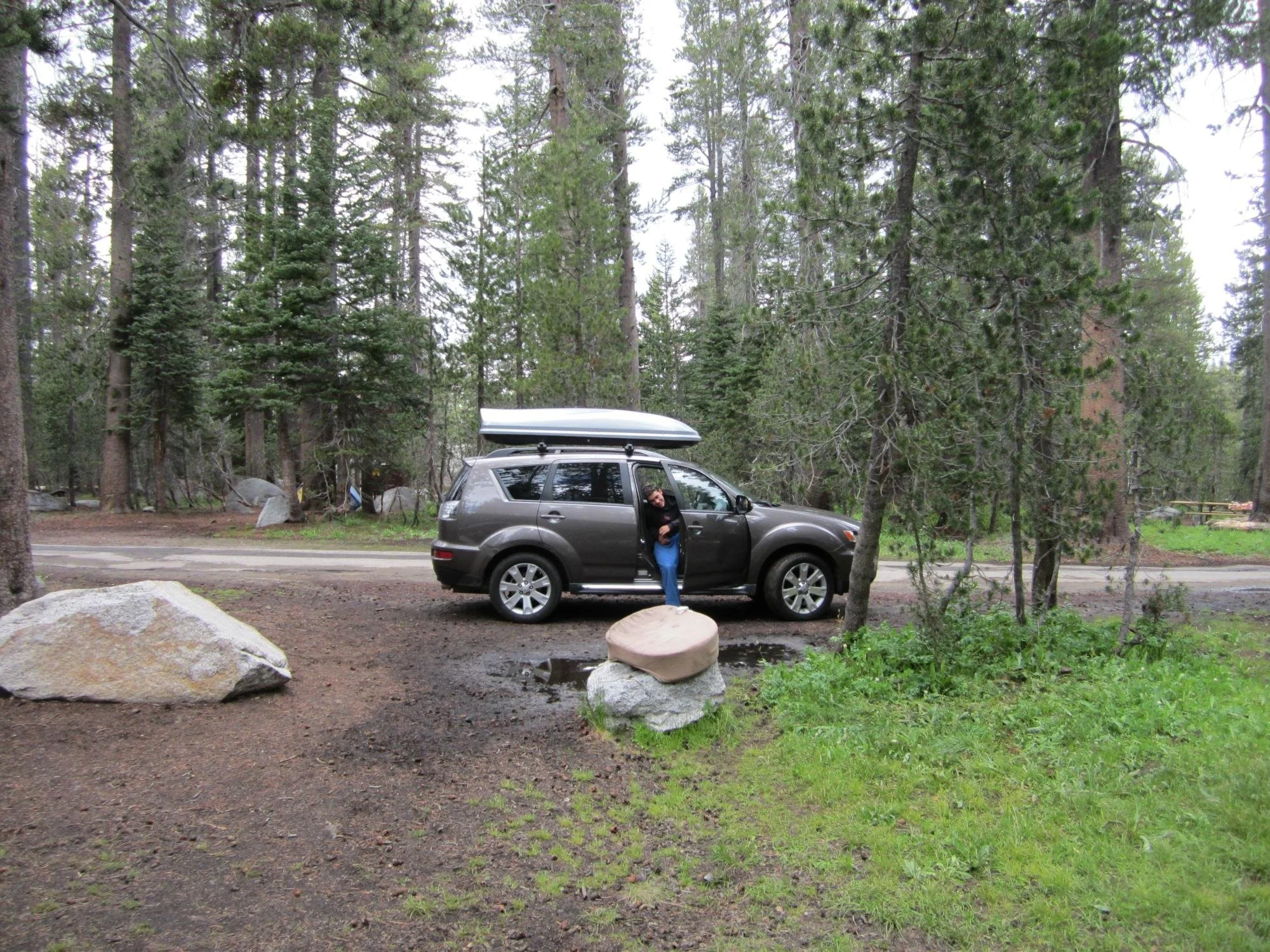 white-wolf-campground-yosemite-national-park-california.jpeg