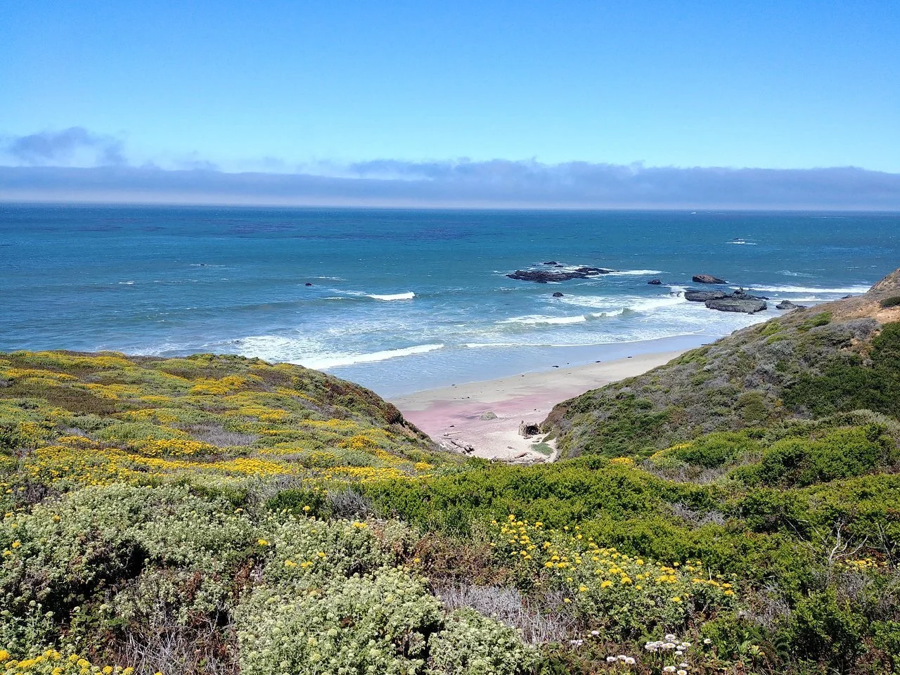 andrew-molera-state-park-big-sur-california.jpeg
