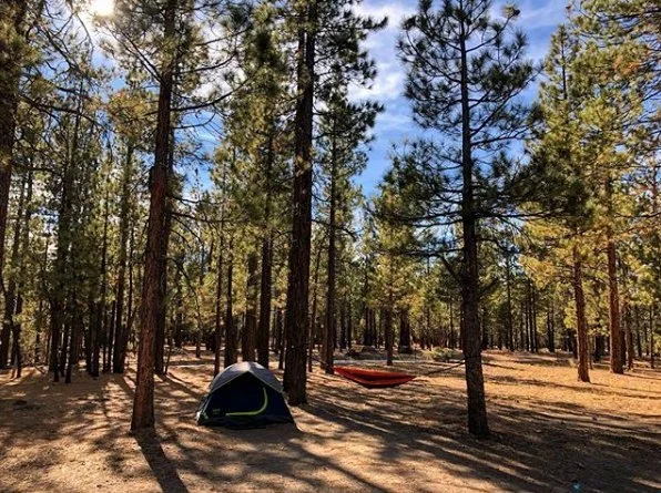 holcomb-valley-campground-big-bear-city-california.jpeg