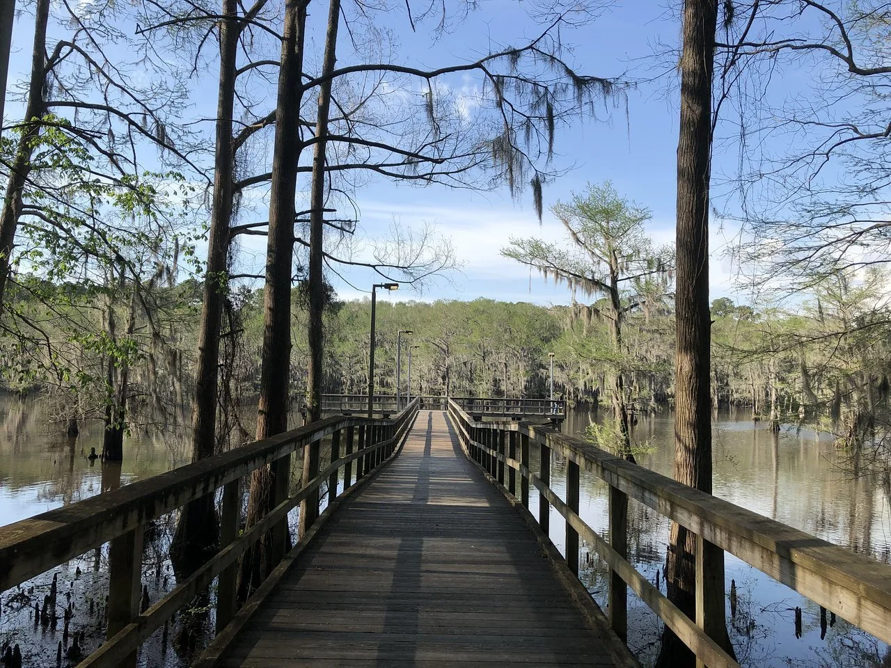 caddo-lake-state-park-karnack-texas.jpeg