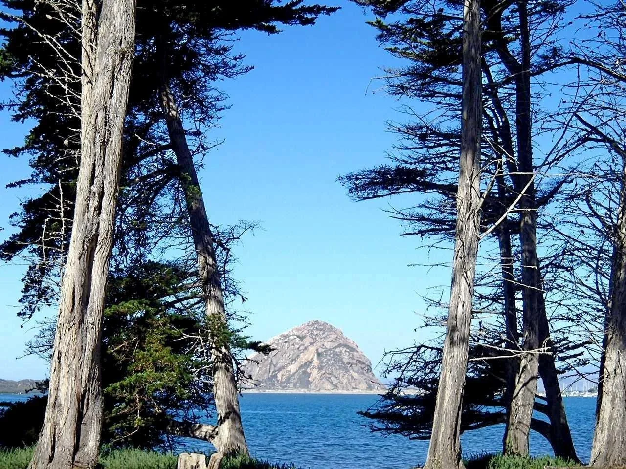 morro-bay-state-park-morro-bay-california.jpeg