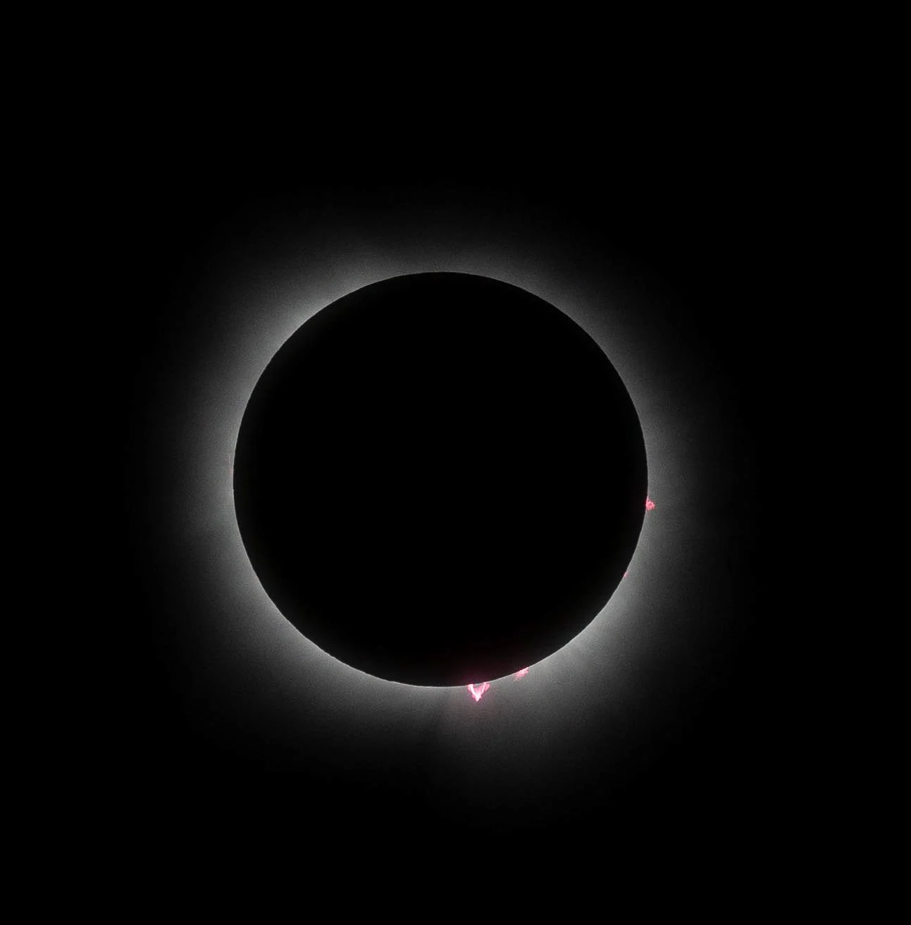  - Sarah Edwards - B47A2834.jpg