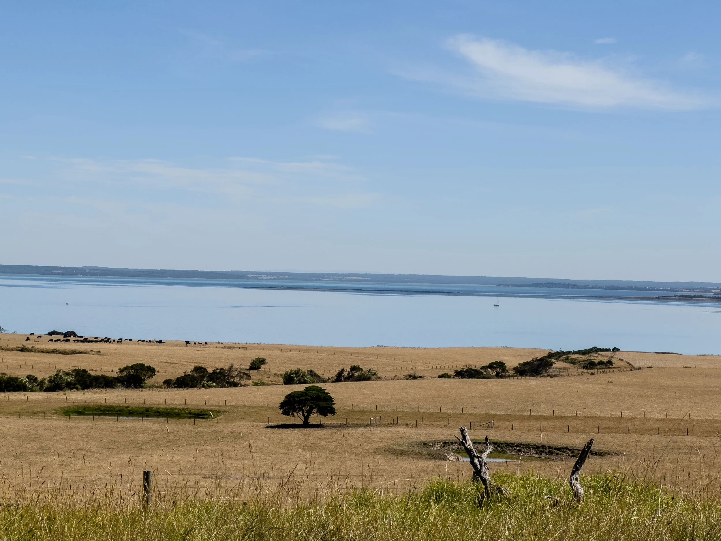  - Sarah Edwards - IMG_1533.jpg