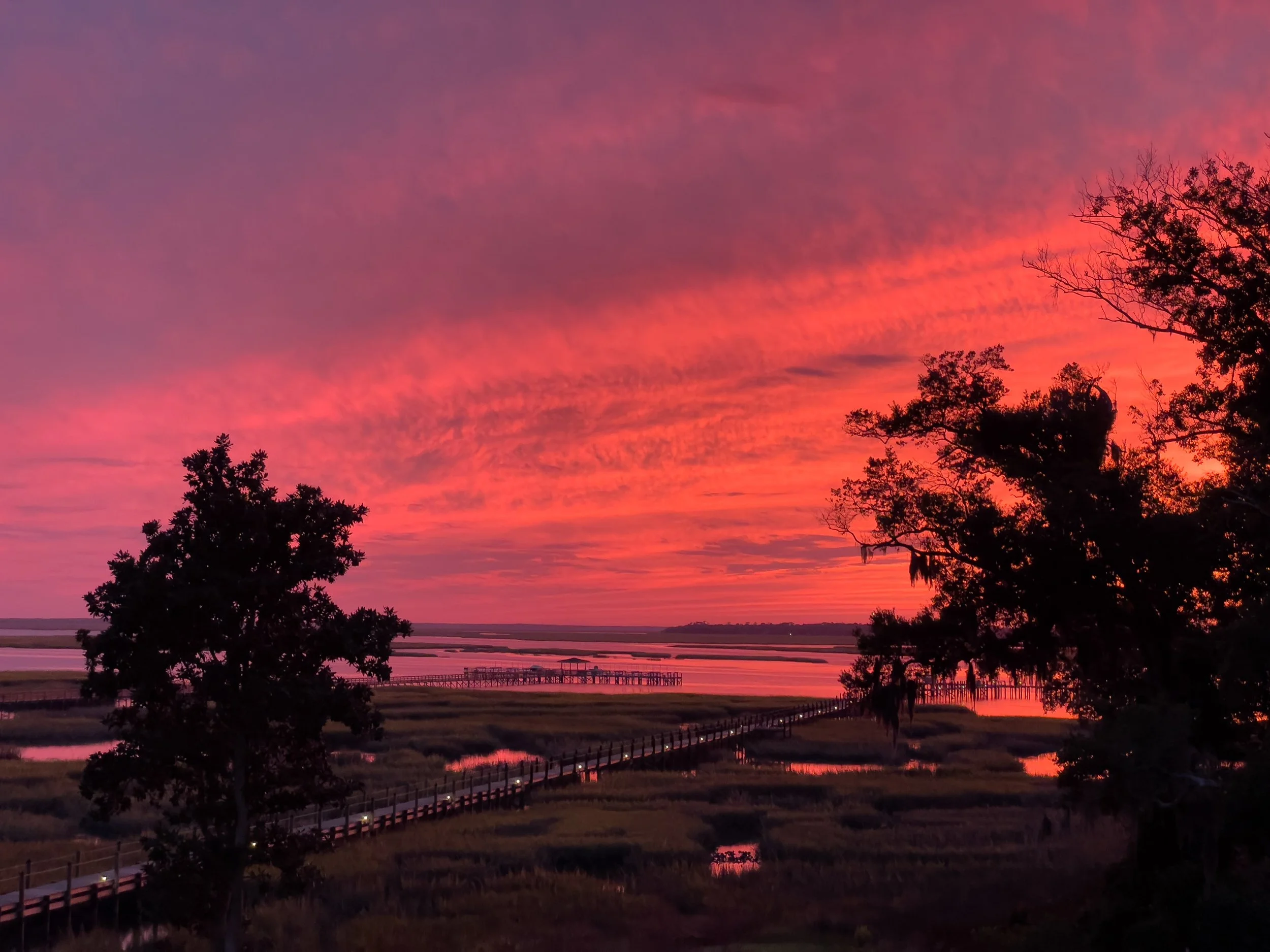  - Sarah Edwards - IMG_9633.jpg