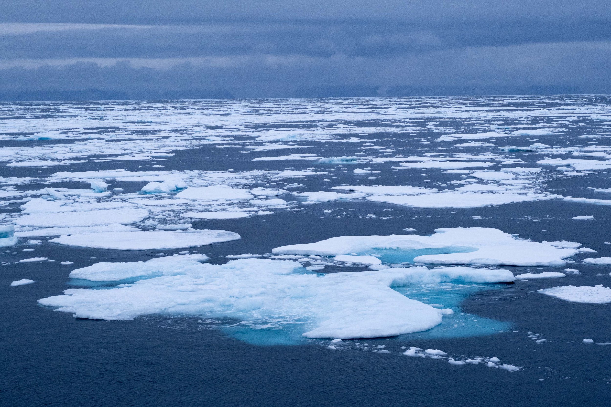  - Sarah Edwards - DSCF3560.jpg