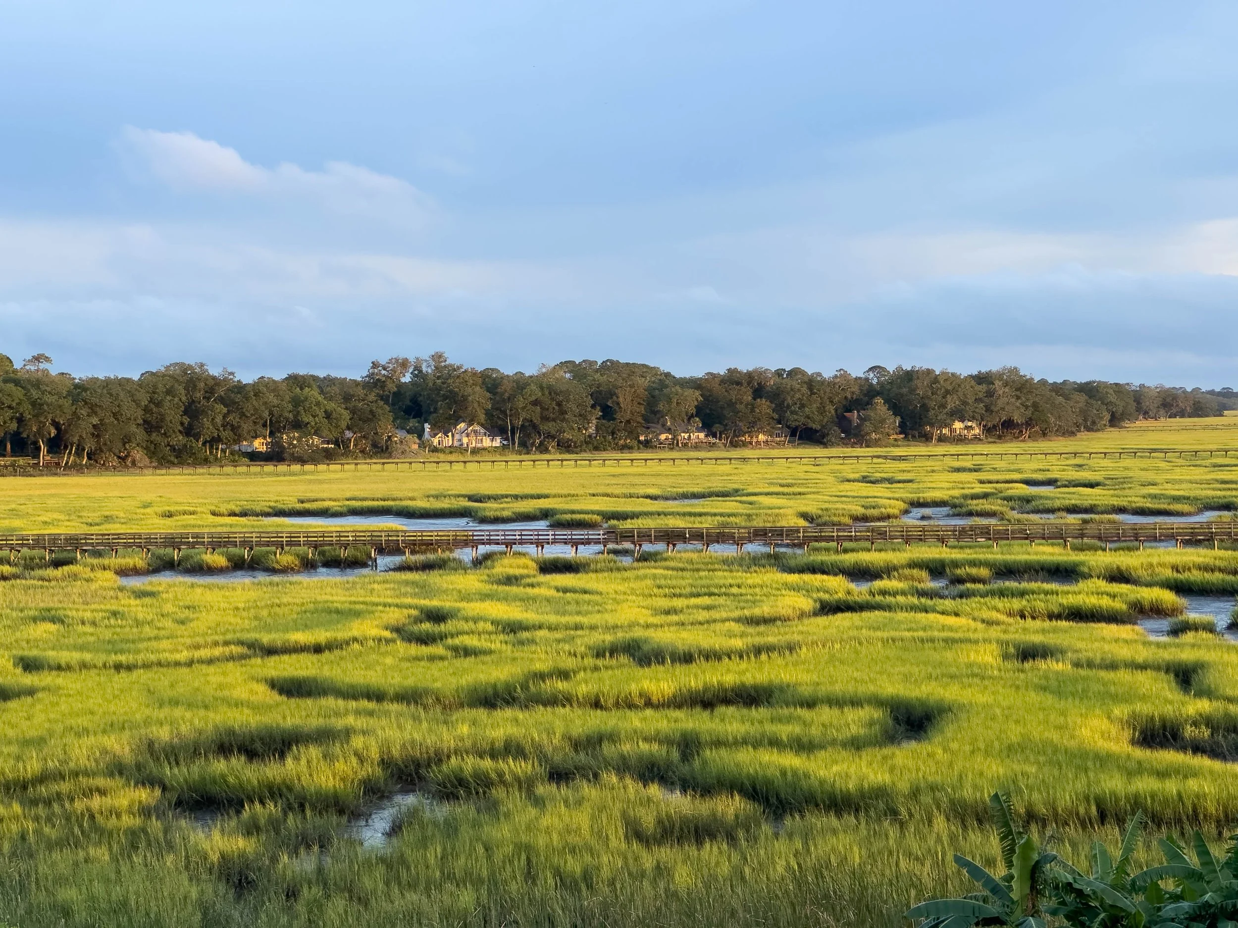  - Sarah Edwards - IMG_5477.jpg