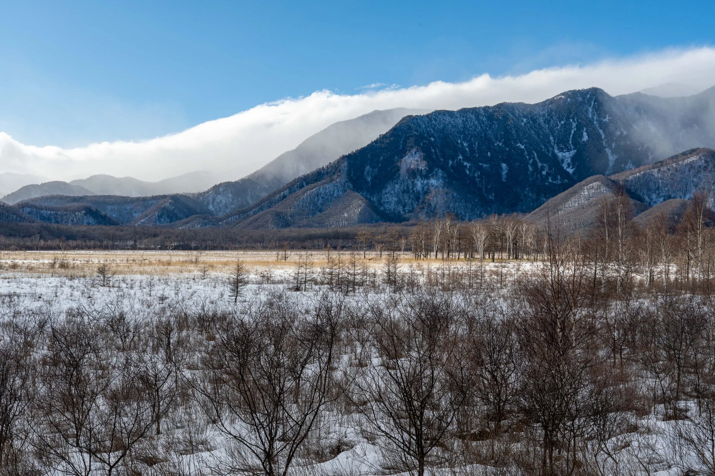  - Sarah Edwards - 2020_01 _29_Waterfalls00227.jpg