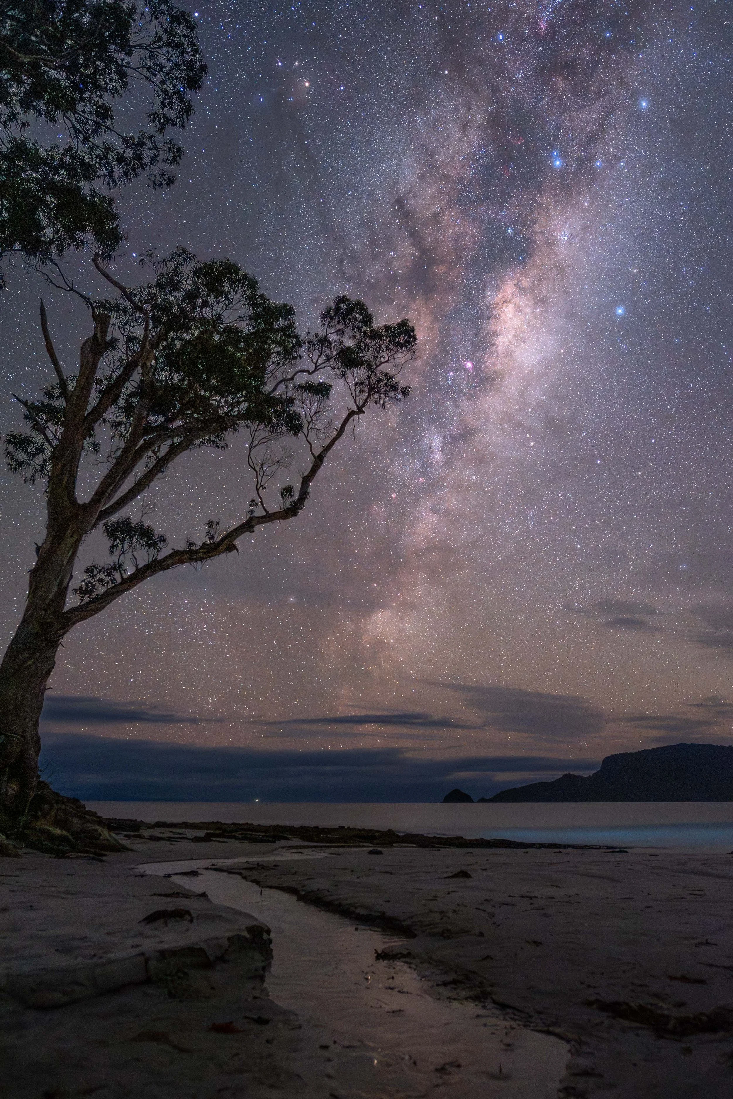  - Sarah Edwards - _M2A6920.jpg