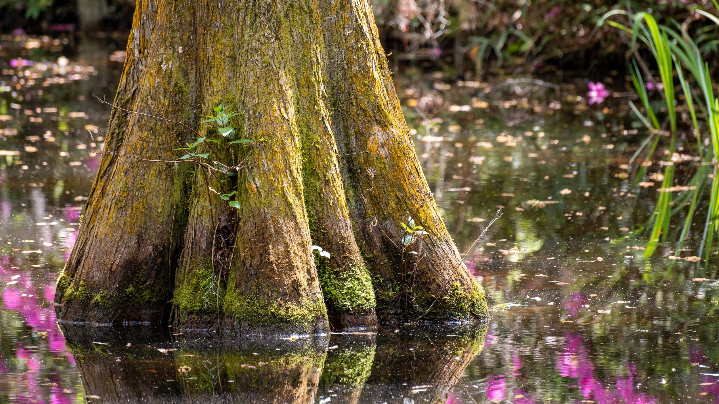  - Sarah Edwards - 2021_03_31_untitled_00320.jpg