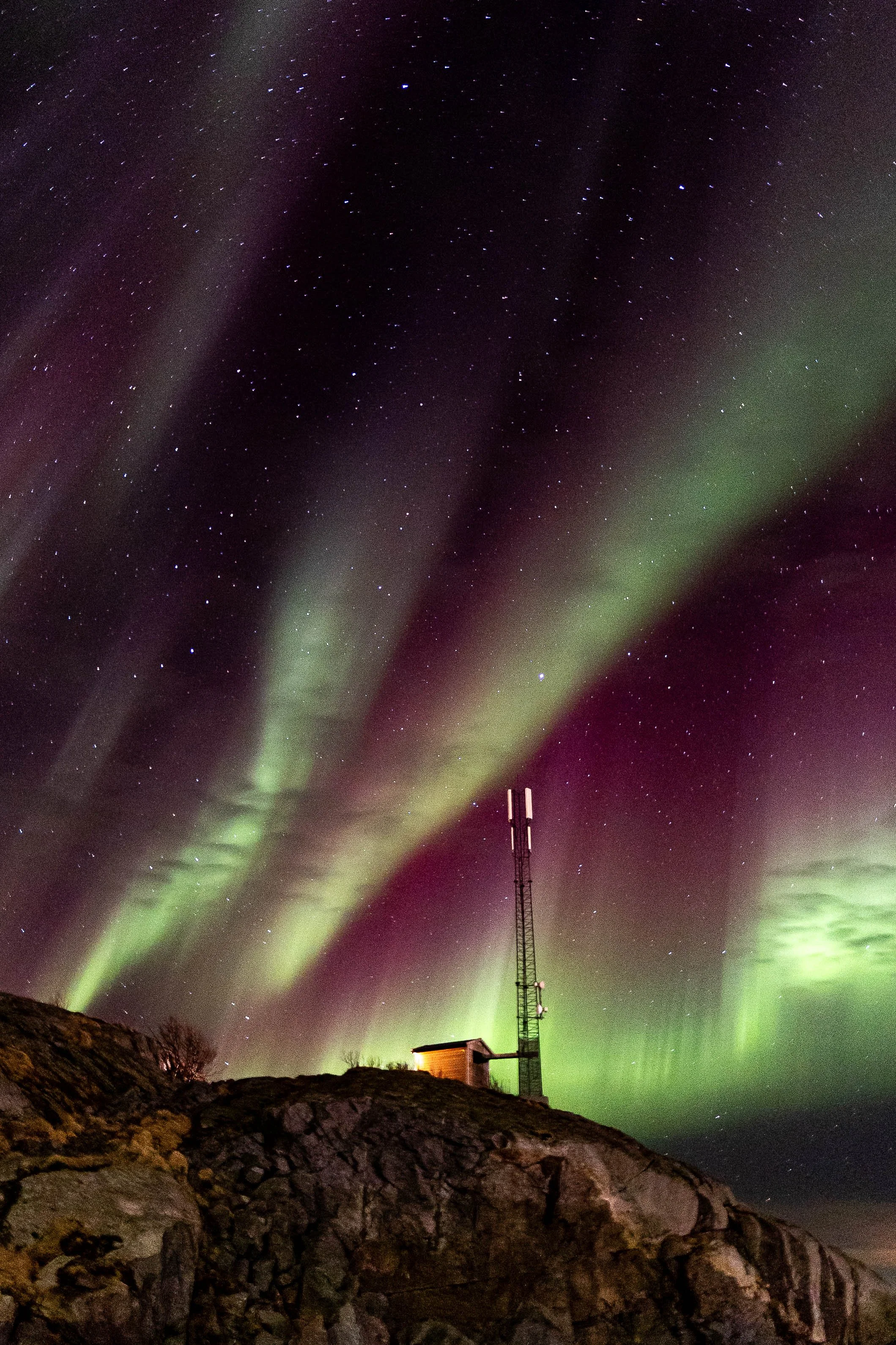  - Sarah Edwards - B47A6687.jpg