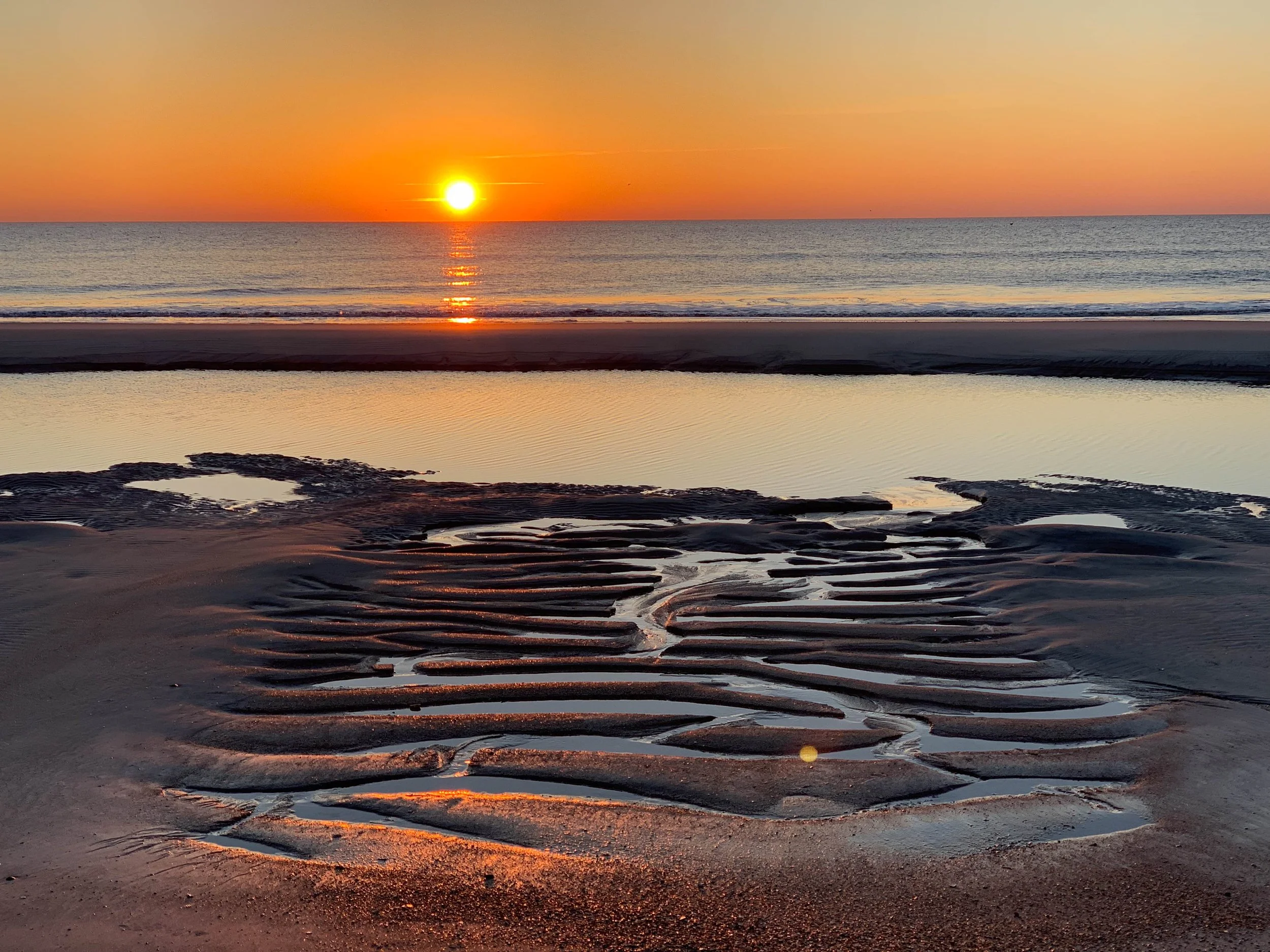  - Sarah Edwards - 2019_03_untitled shoot_00057.jpg