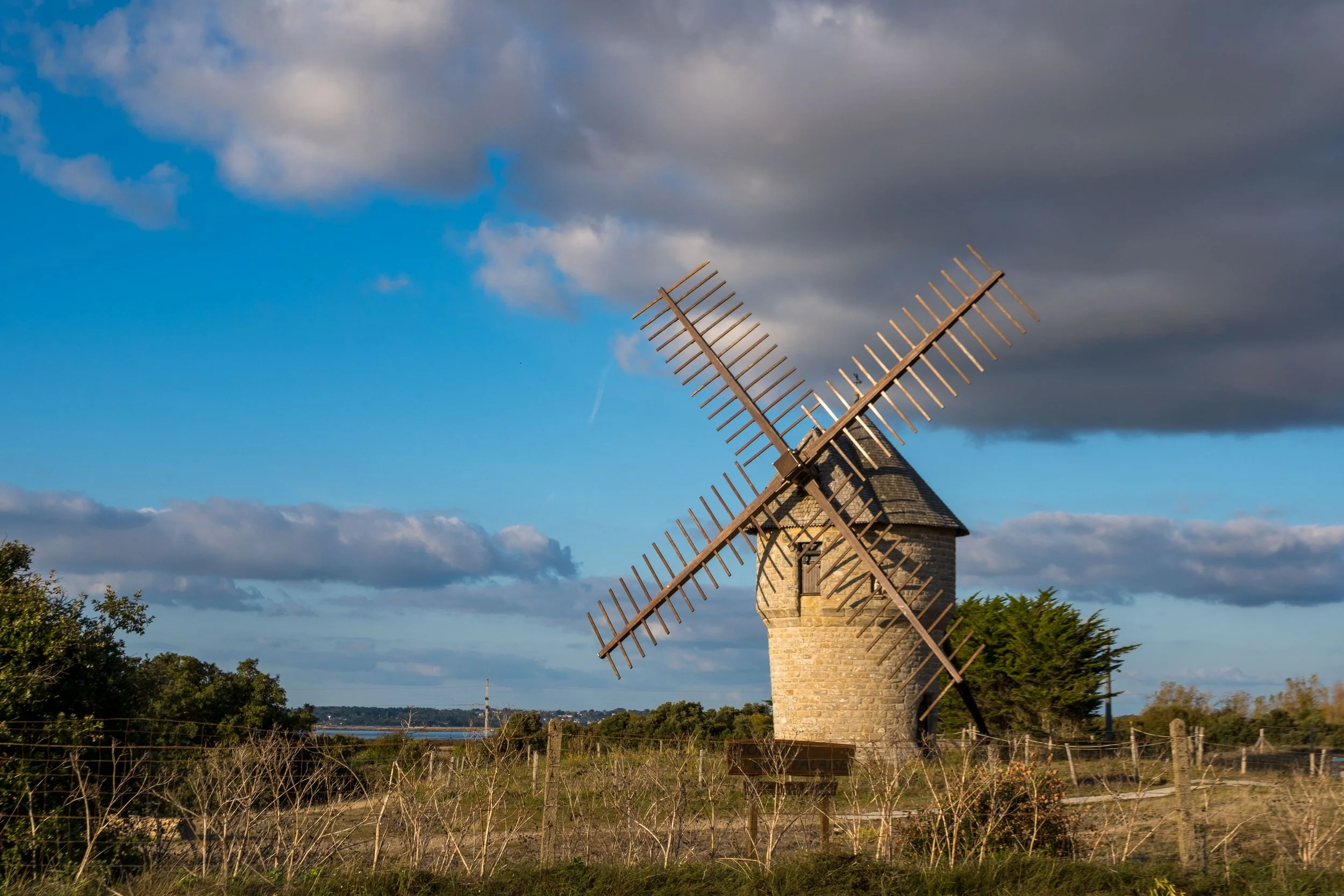  - Sarah Edwards - _DSF5539.jpg