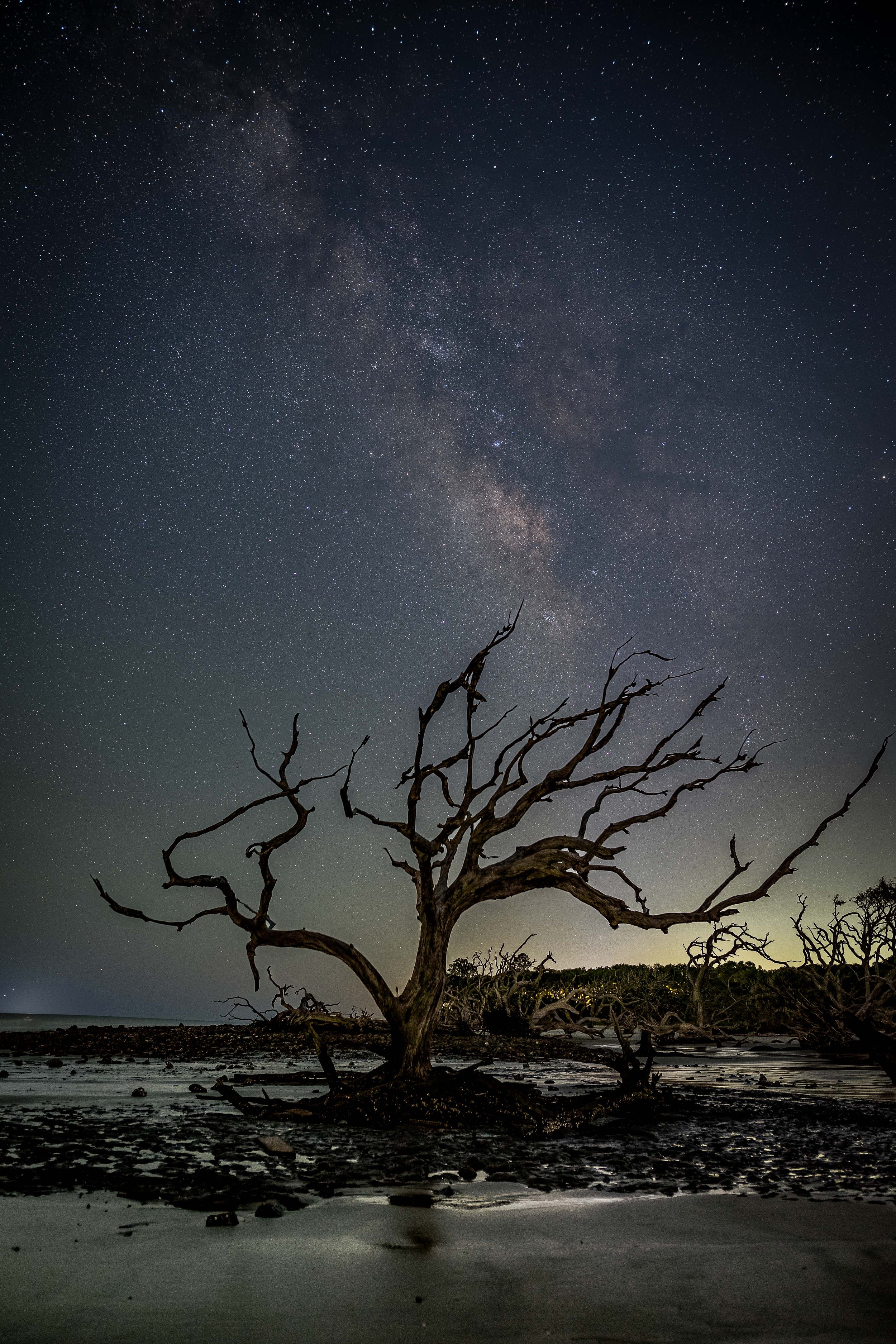 Milky Way - Sarah Edwards Photography-14.jpg