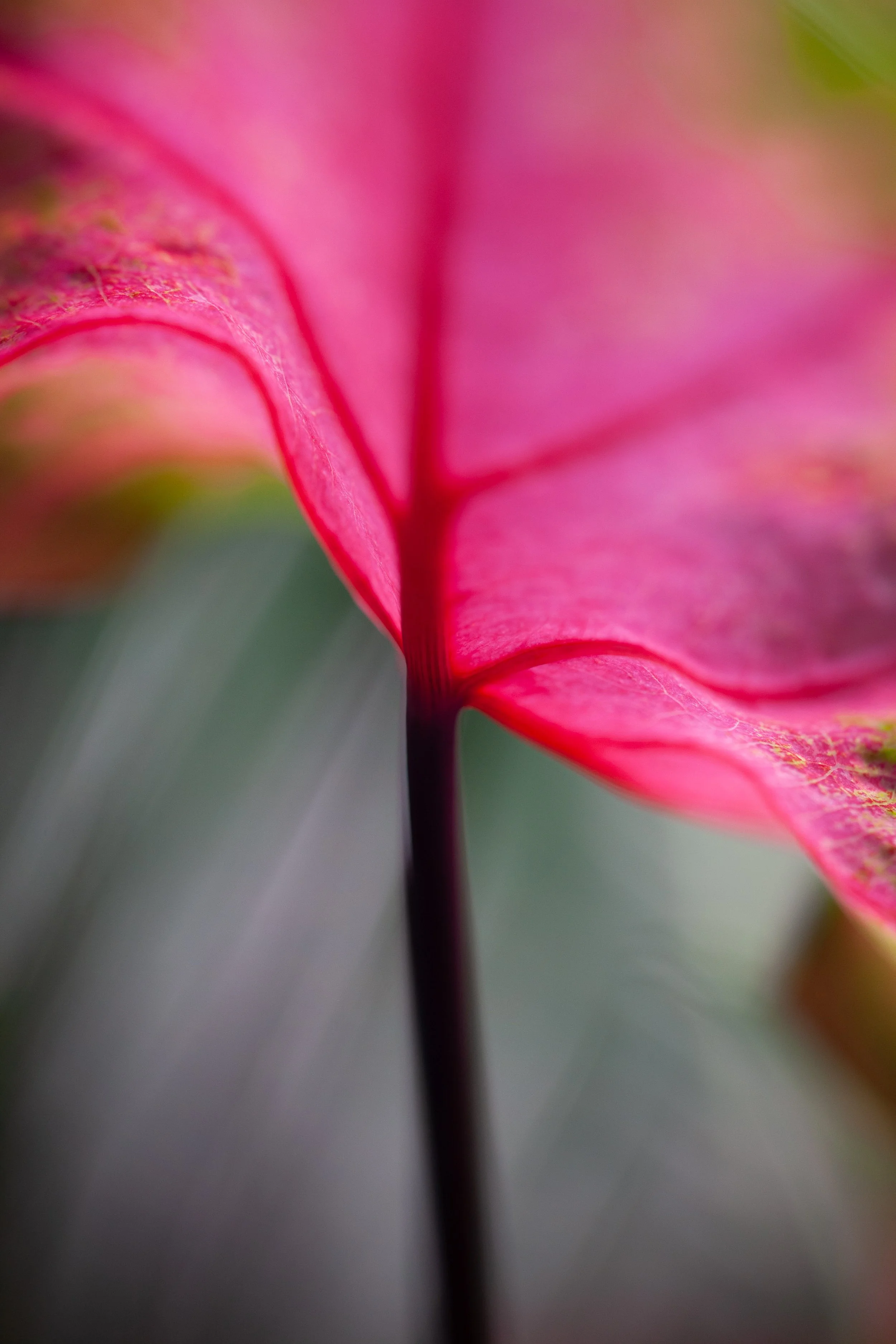  - Sarah Edwards - 2020_04_04_EB-Light_00030.jpg