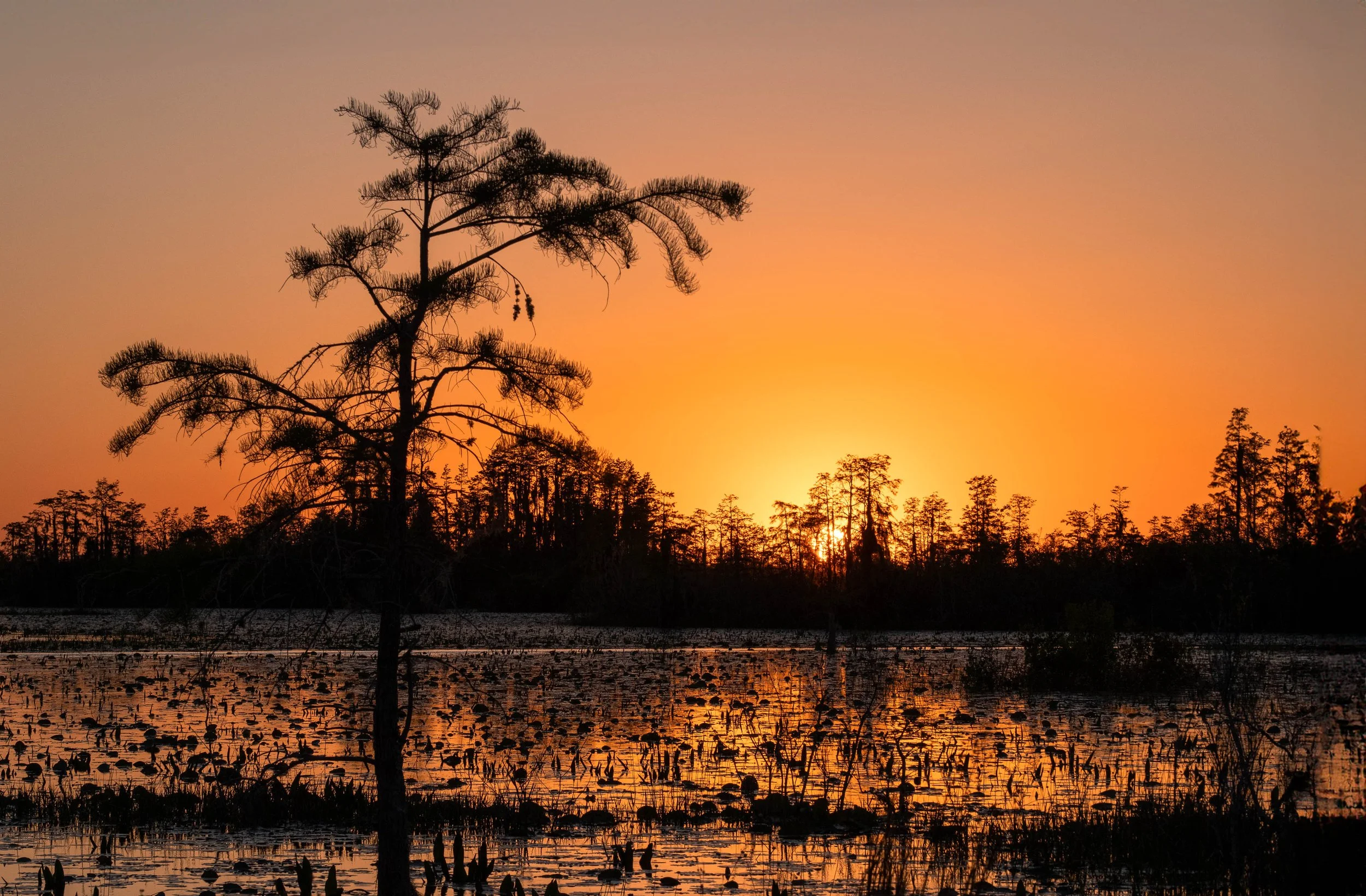  - Sarah Edwards - DSCF2840-Edit.jpg