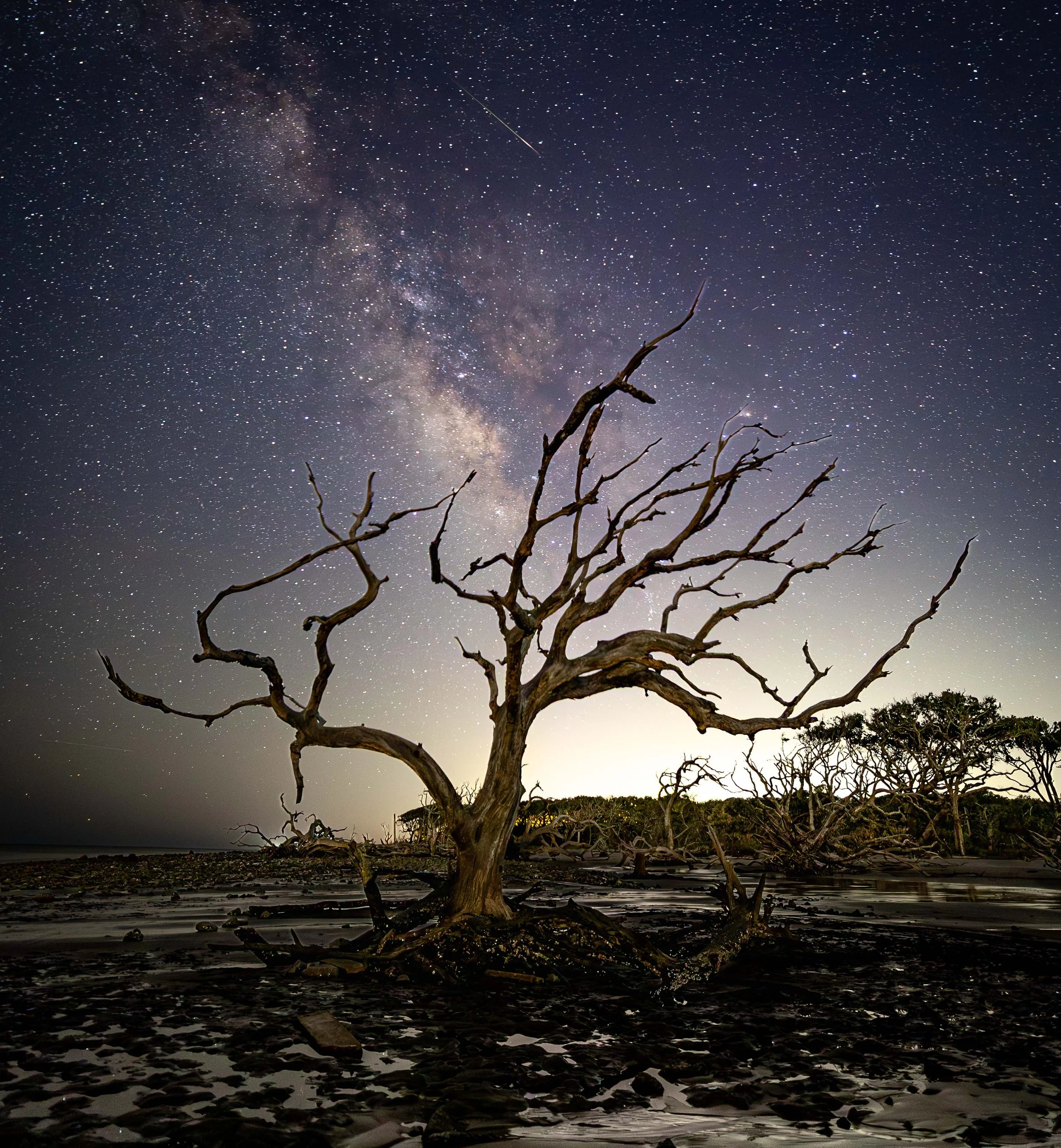  - Sarah Edwards - B47A3221.jpg