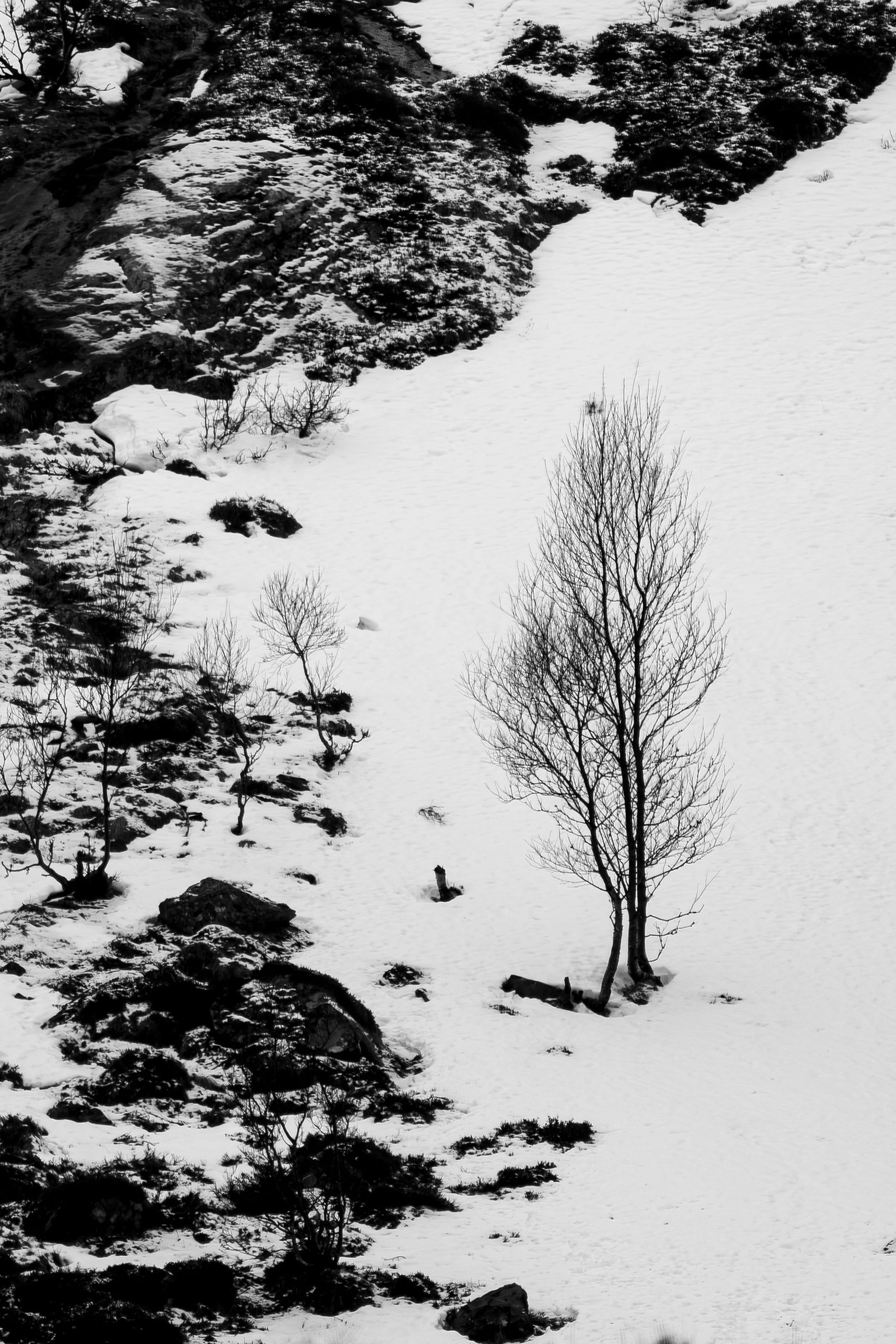  - Sarah Edwards - _DSF3969-Enhanced-NR.jpg