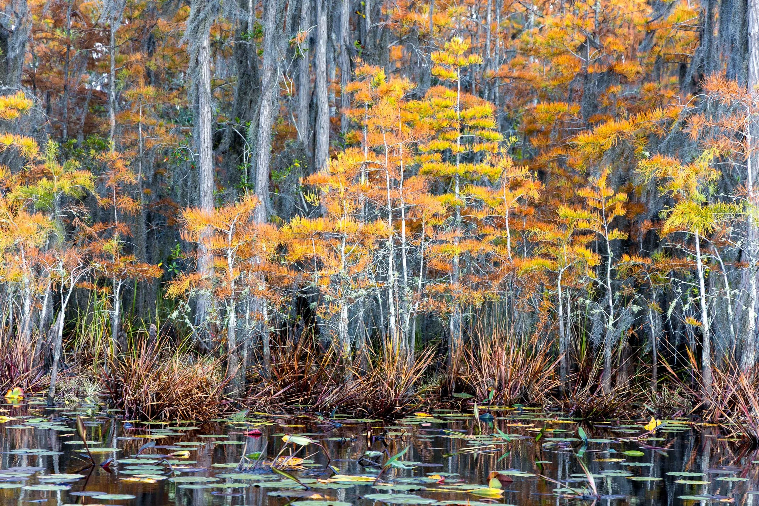  - Sarah Edwards - _47A6755.jpg