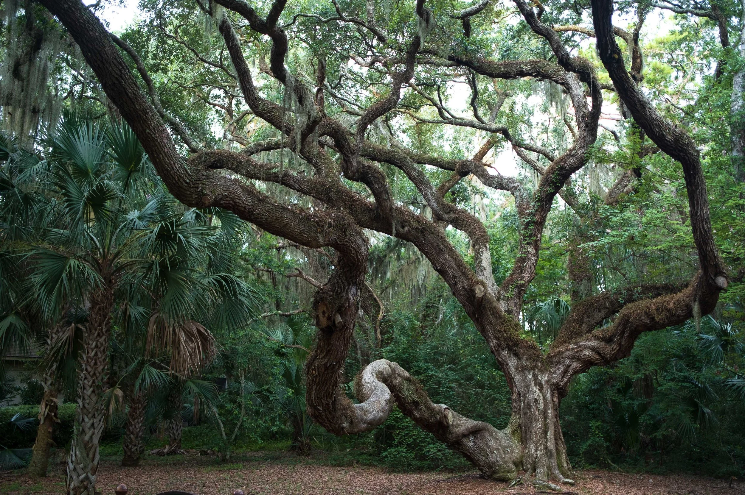  - Sarah Edwards - 2020_07_16_Amelia_00072.jpg