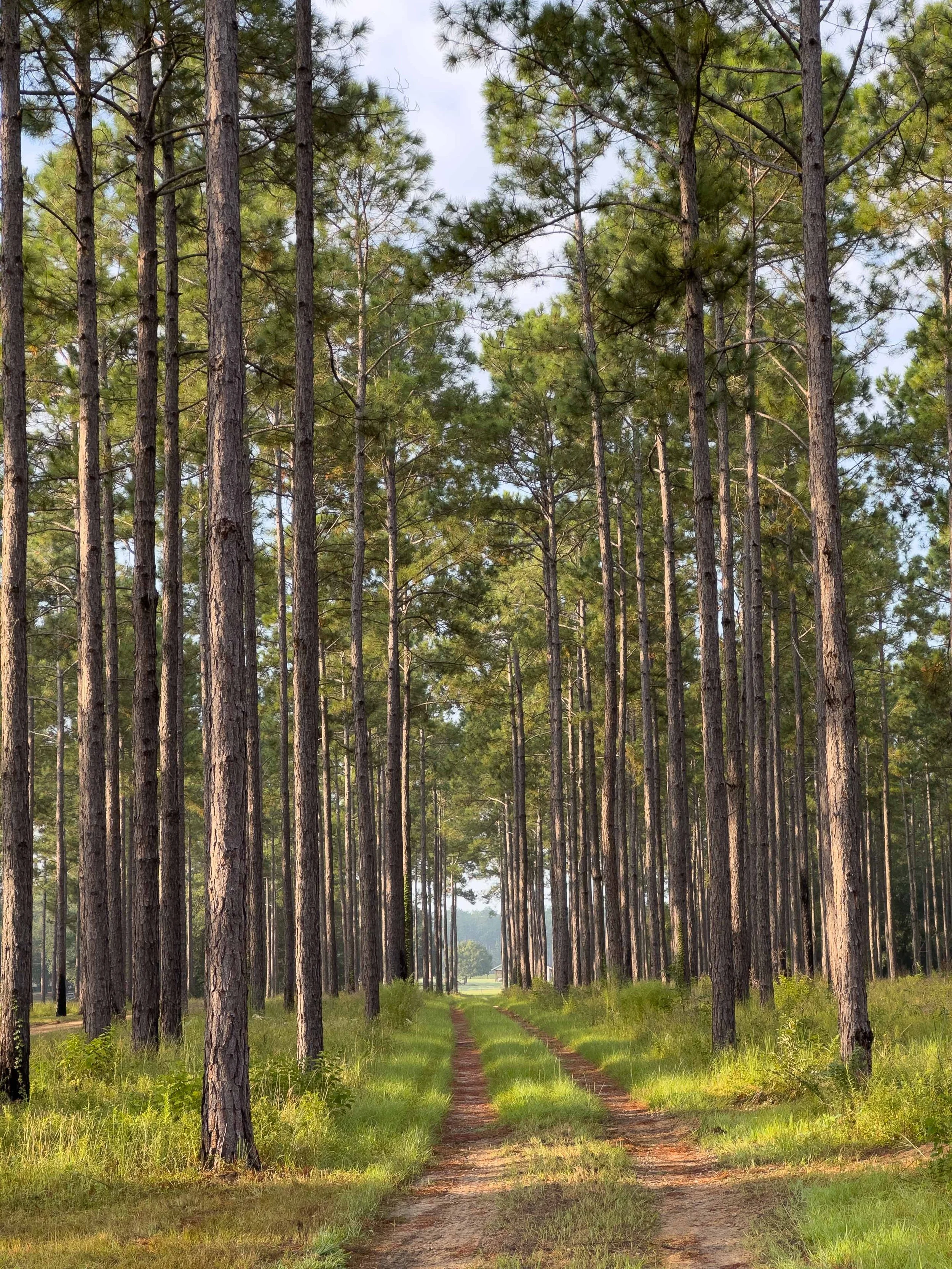  - Sarah Edwards - IMG_0058.jpg