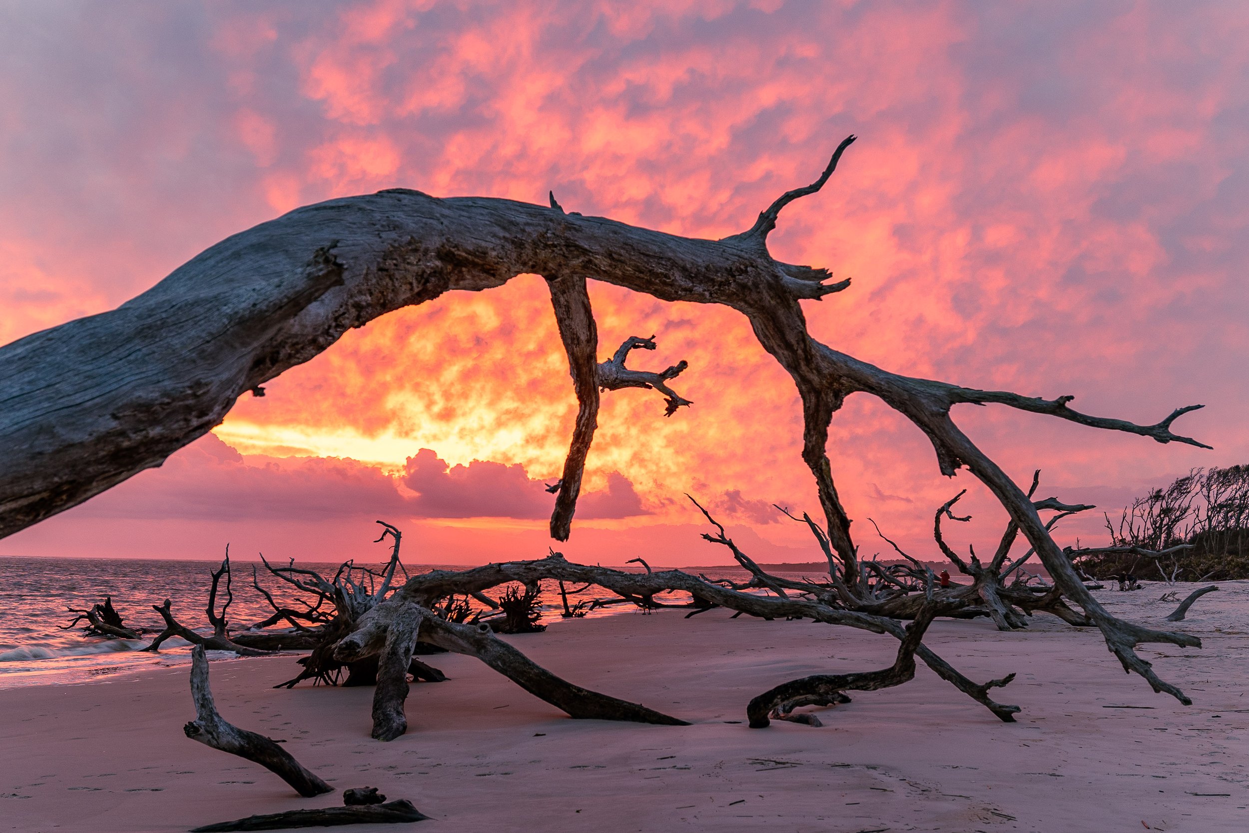  - Sarah Edwards - B47A1242.jpg