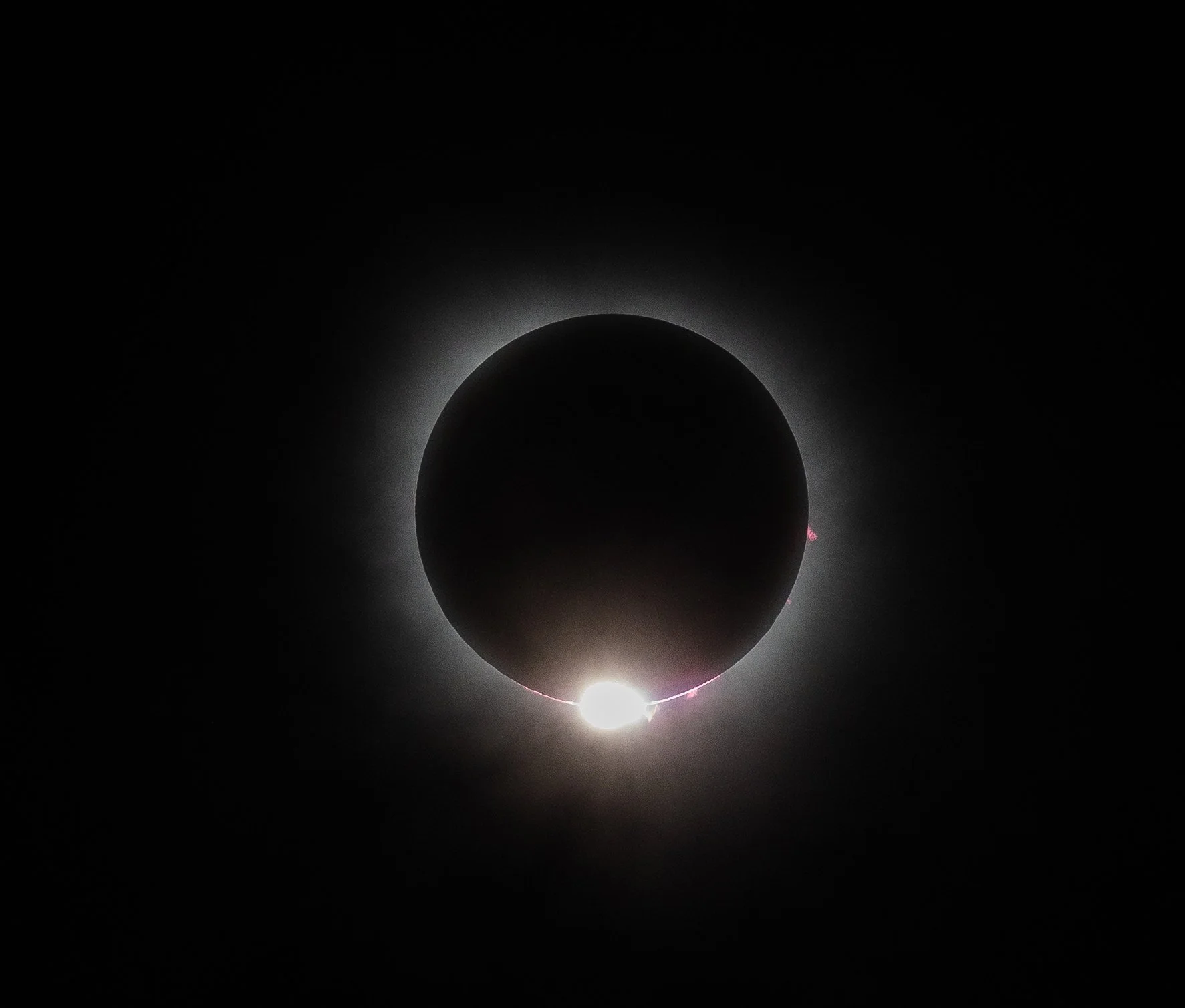  - Sarah Edwards - B47A2853.jpg