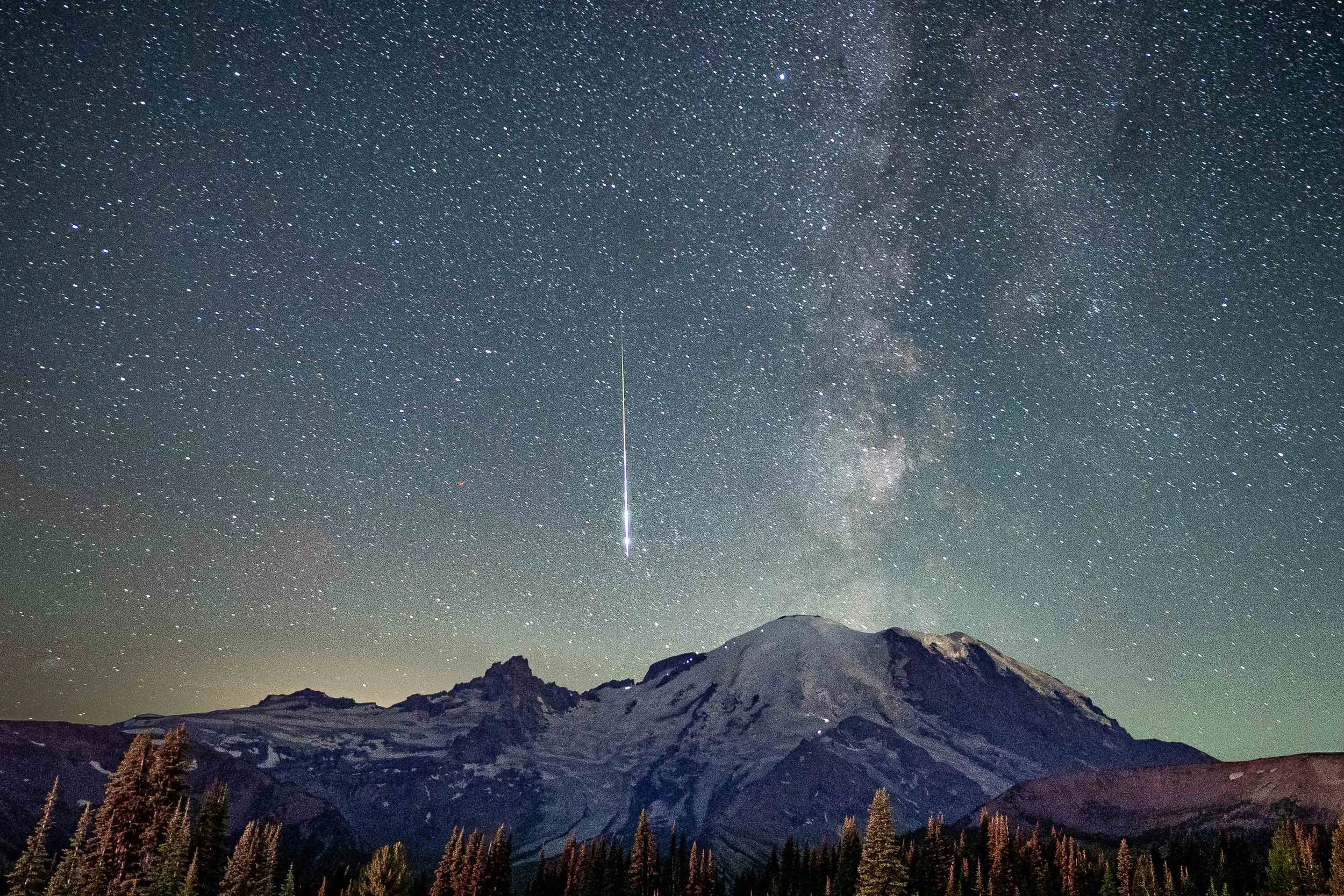  - Sarah Edwards - B47A7051.jpg