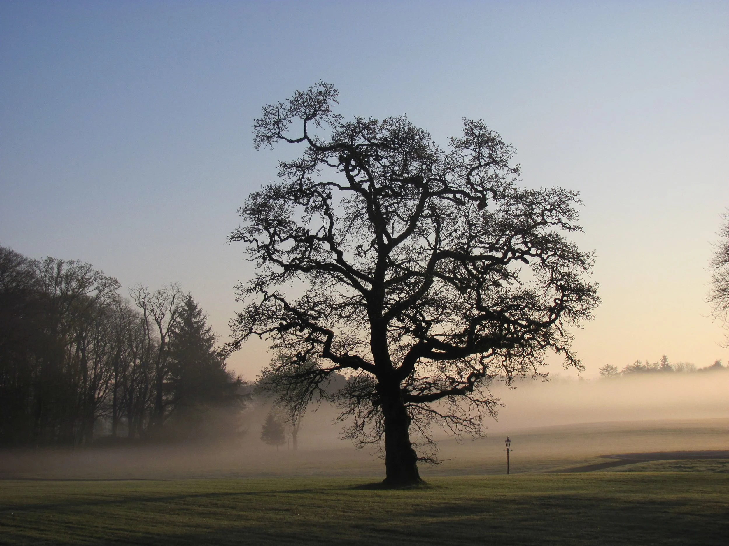 - Sarah Edwards - 2009_12_27_Ireland_00037.jpg