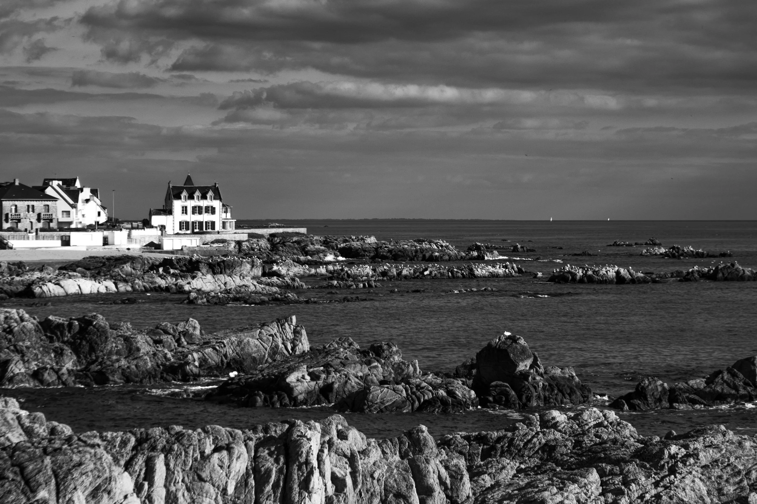  - Sarah Edwards - _DSF5503.jpg