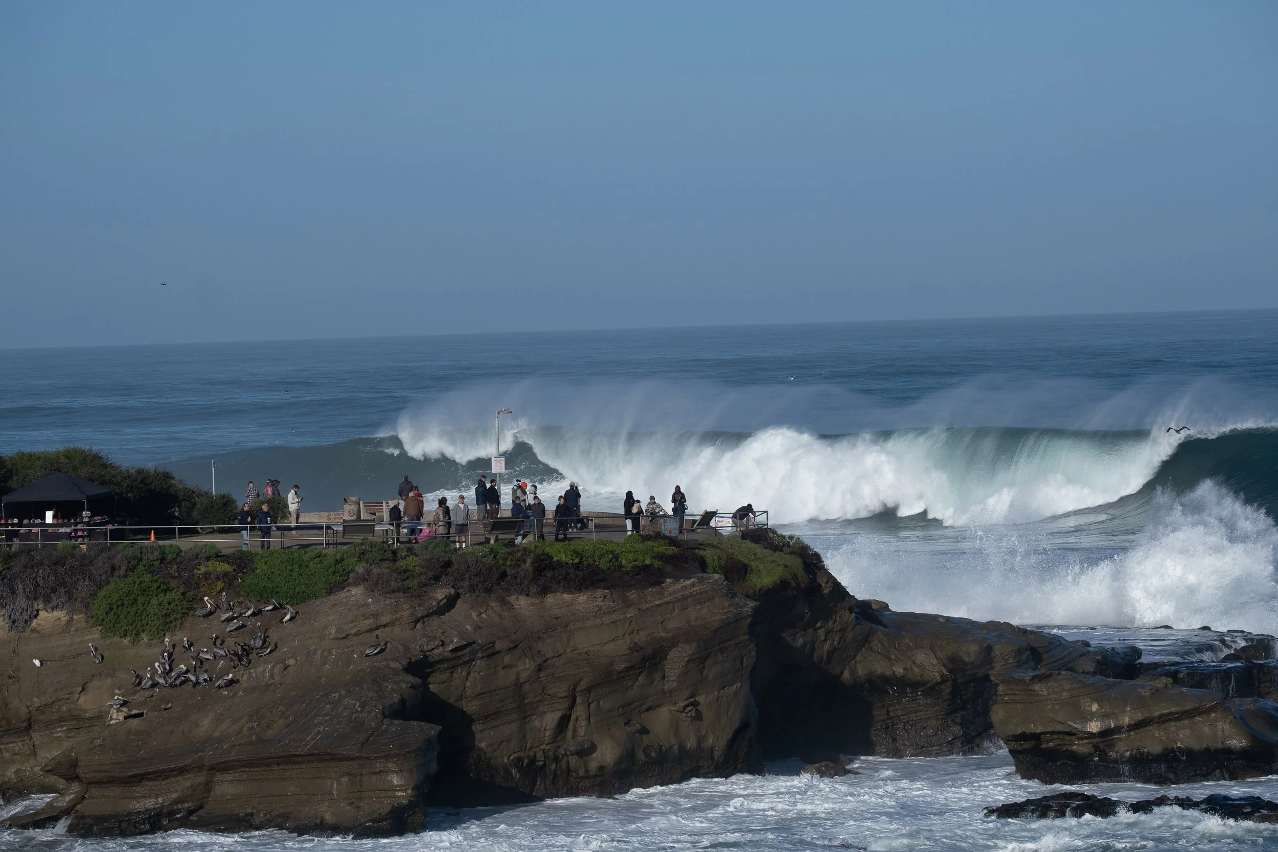  - Sarah Edwards - DSCF8255.jpg