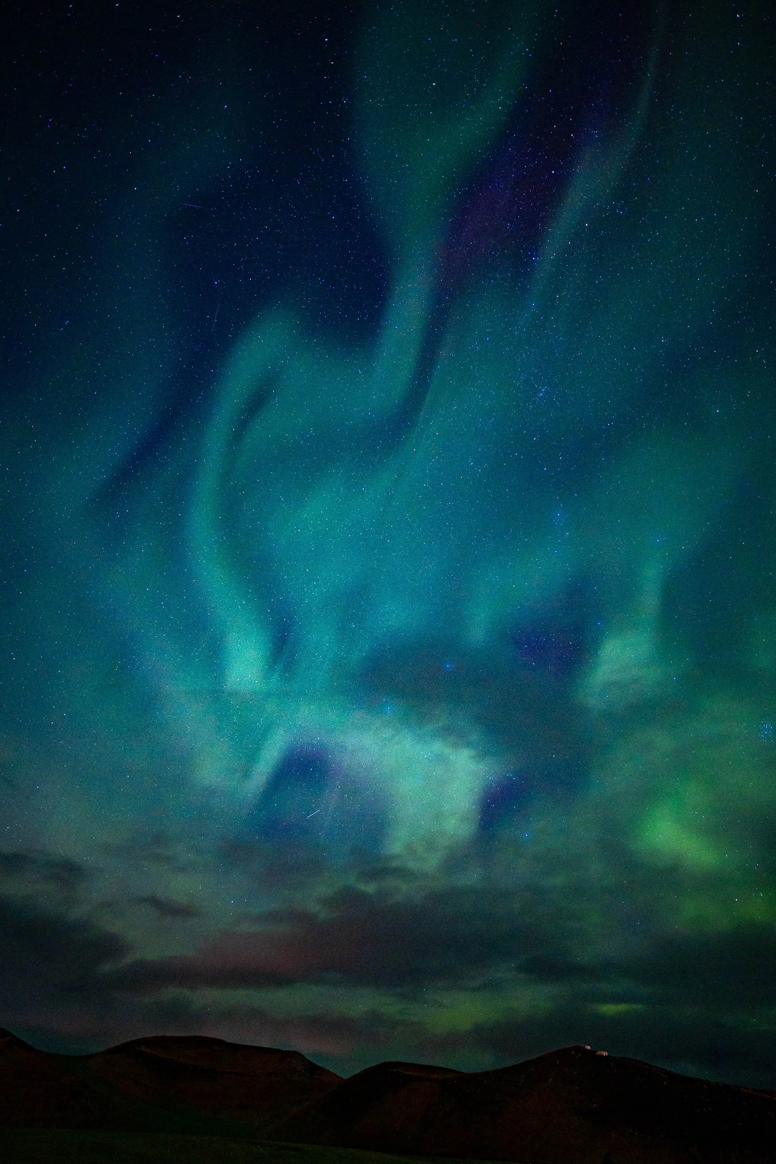  - Sarah Edwards - B47A8960.jpg