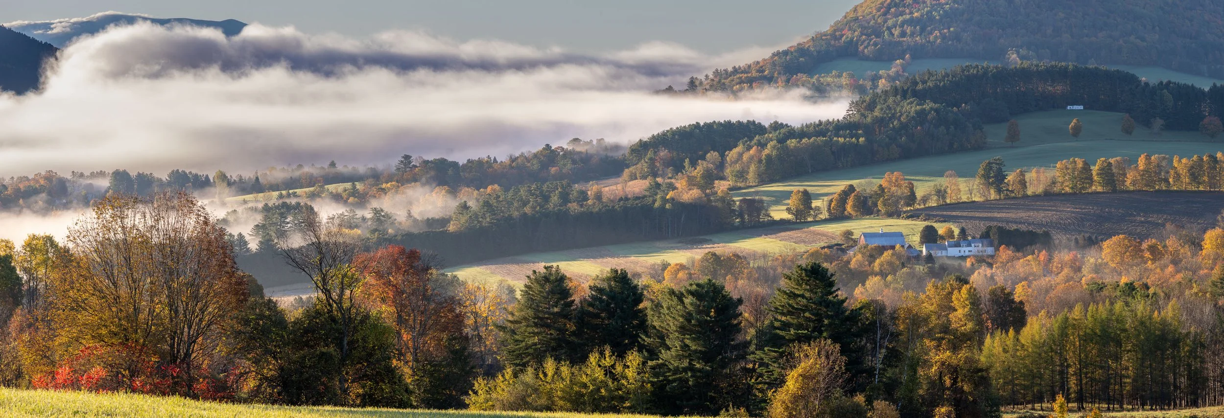  - Sarah Edwards - B47A3609-Pano.jpg