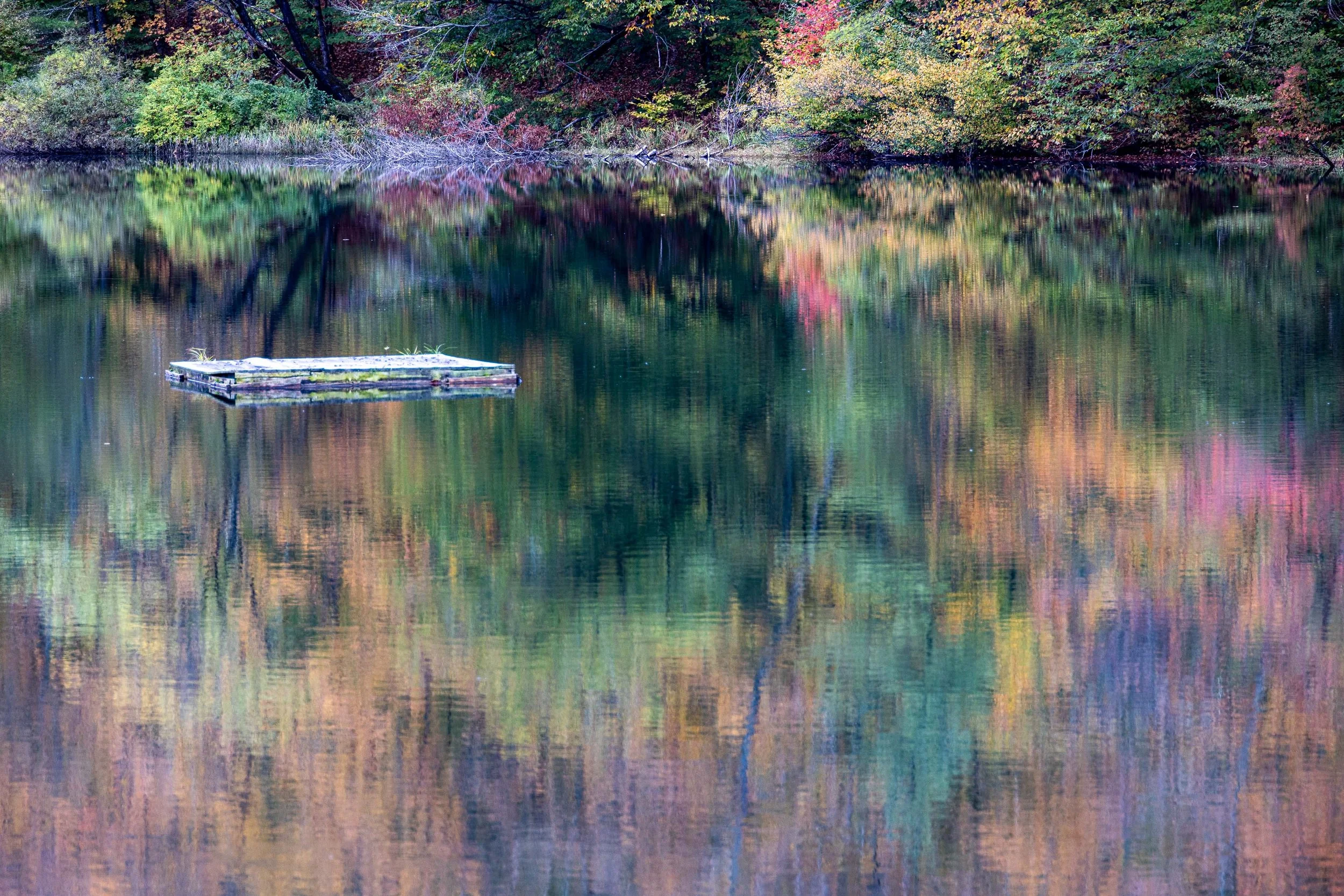  - Sarah Edwards - B47A3508.jpg