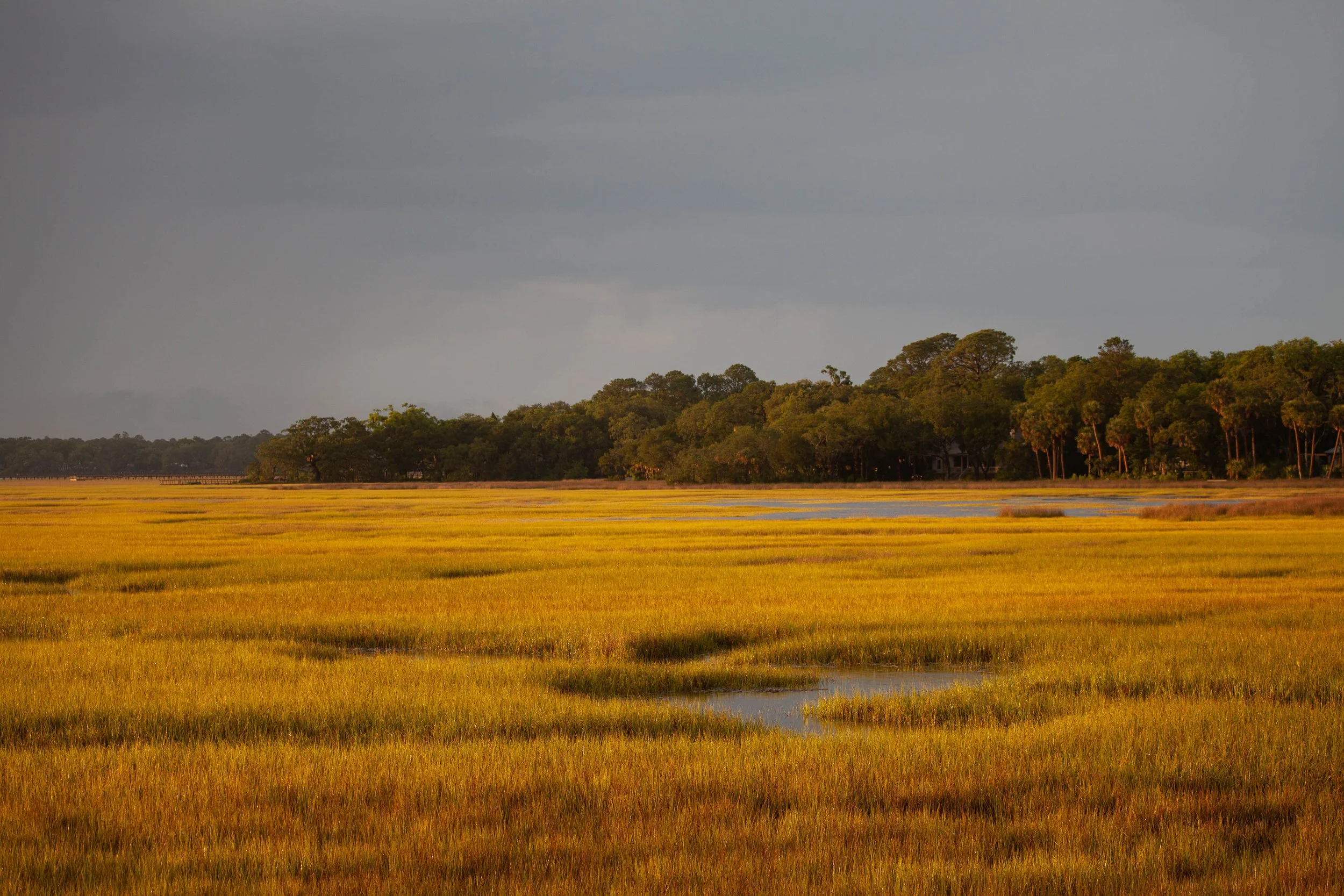  - Sarah Edwards - 2017_05_untitled shoot_00355.jpg