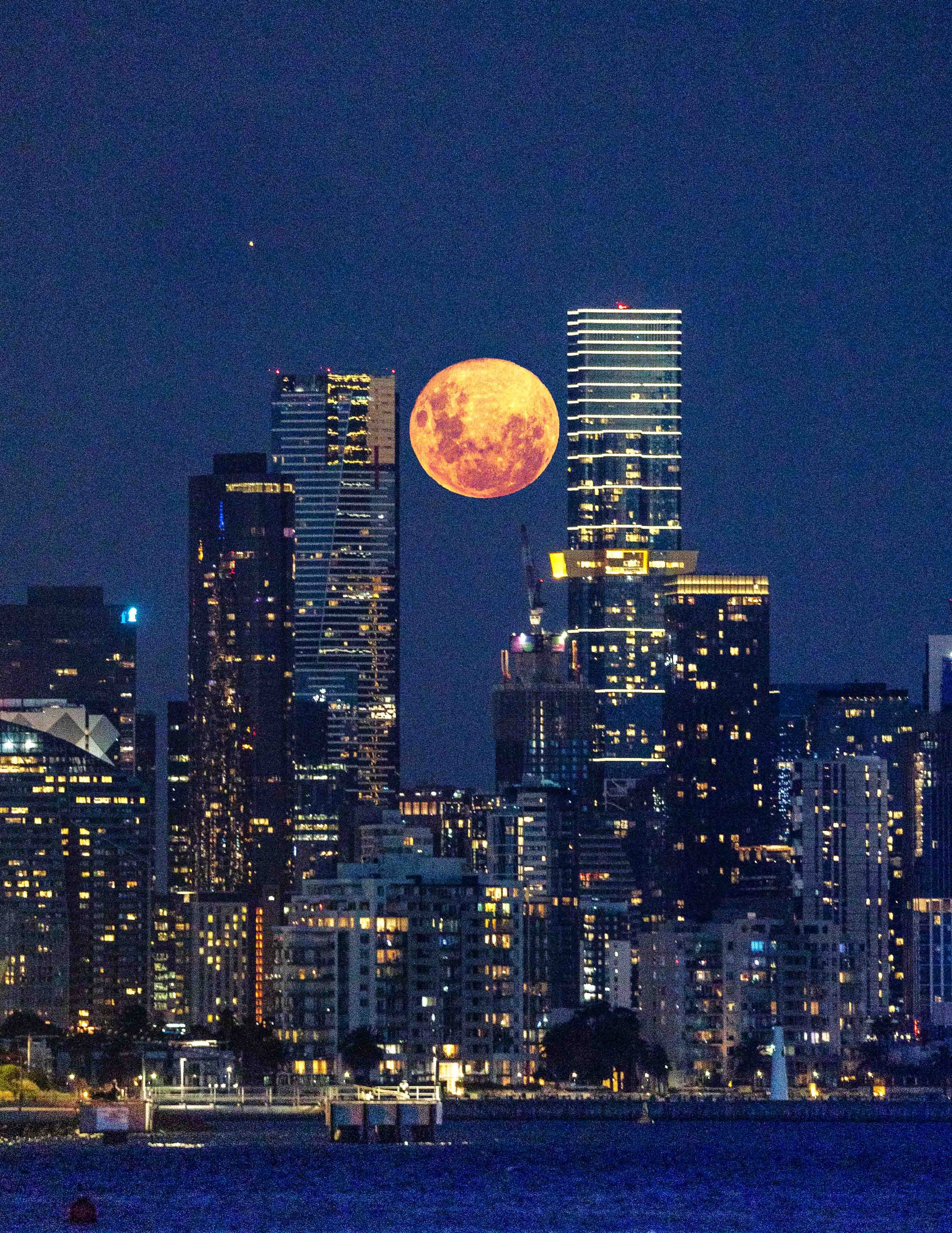  - Sarah Edwards - B47A6232-Edit-Edit.jpg