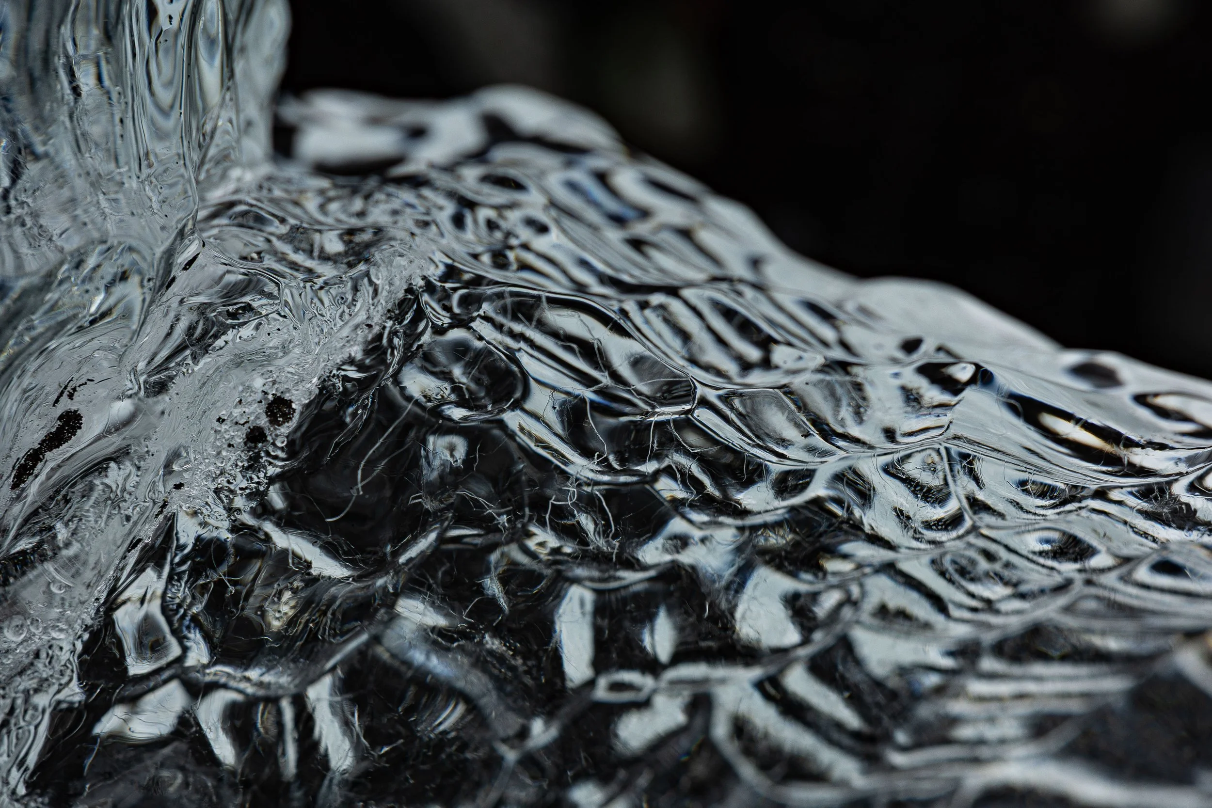  - Sarah Edwards - B47A8183.jpg