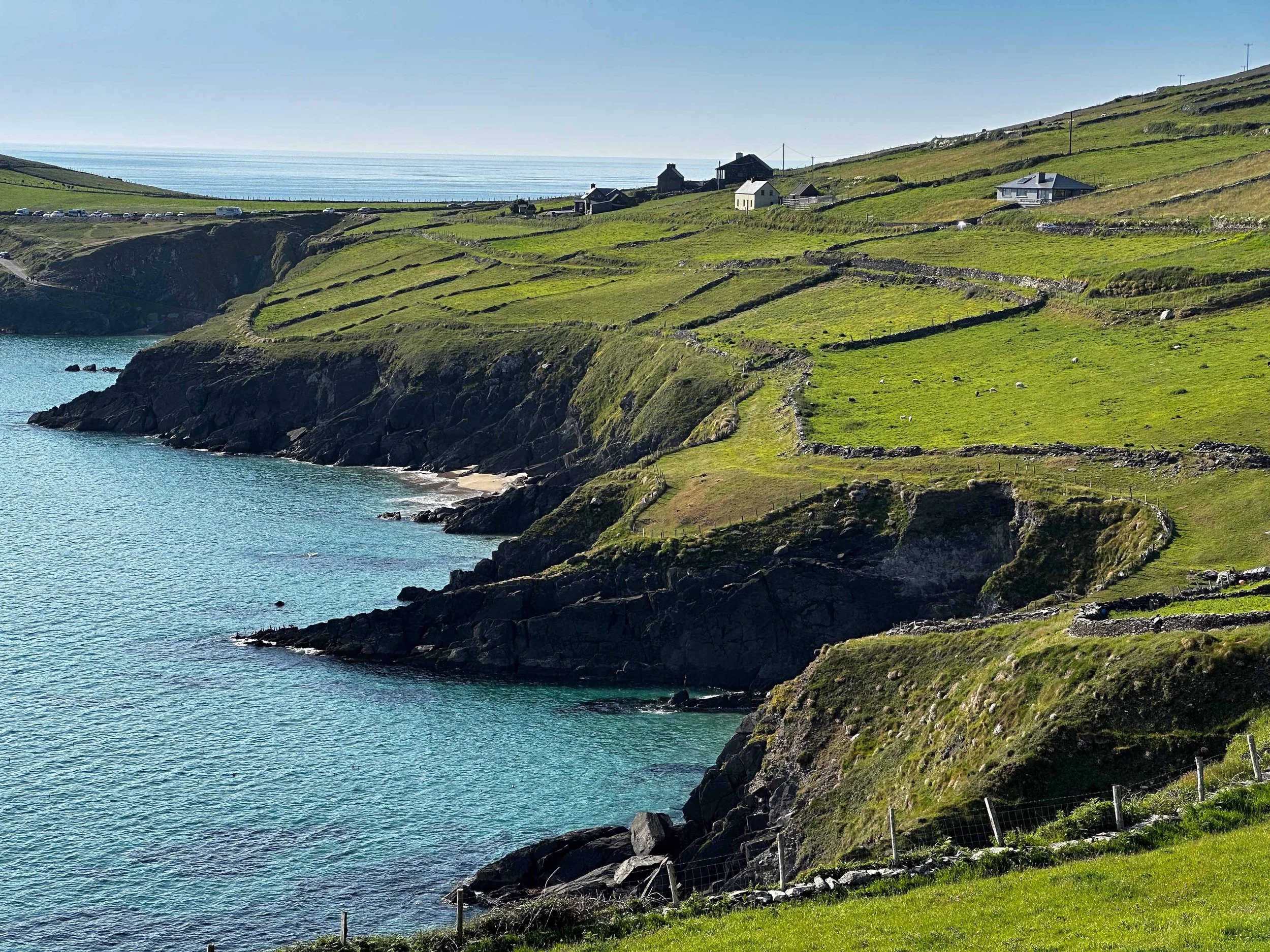  - Sarah Edwards - IMG_4444.jpg