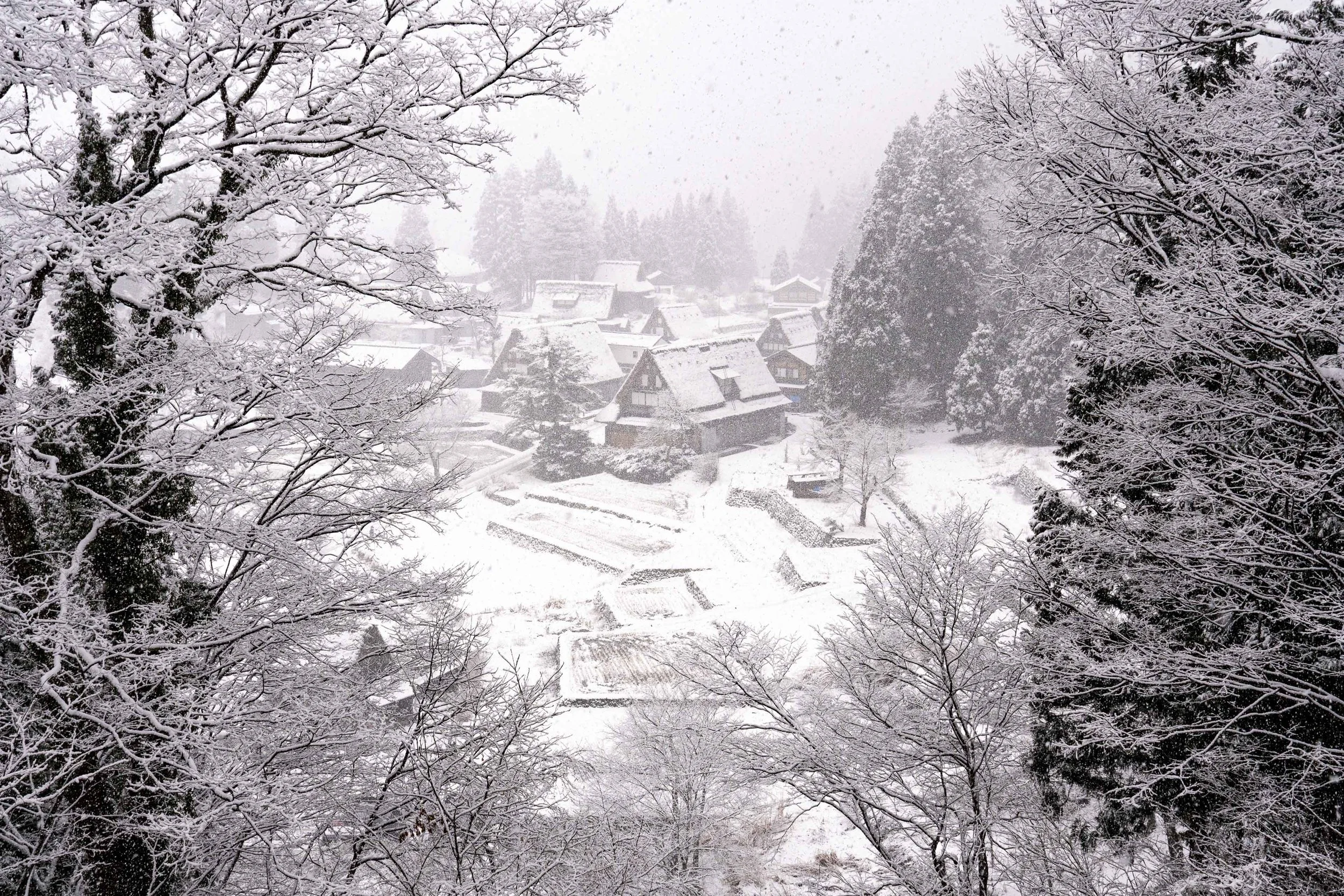  - Sarah Edwards - 2020_01 _20_Ainokura00029.jpg