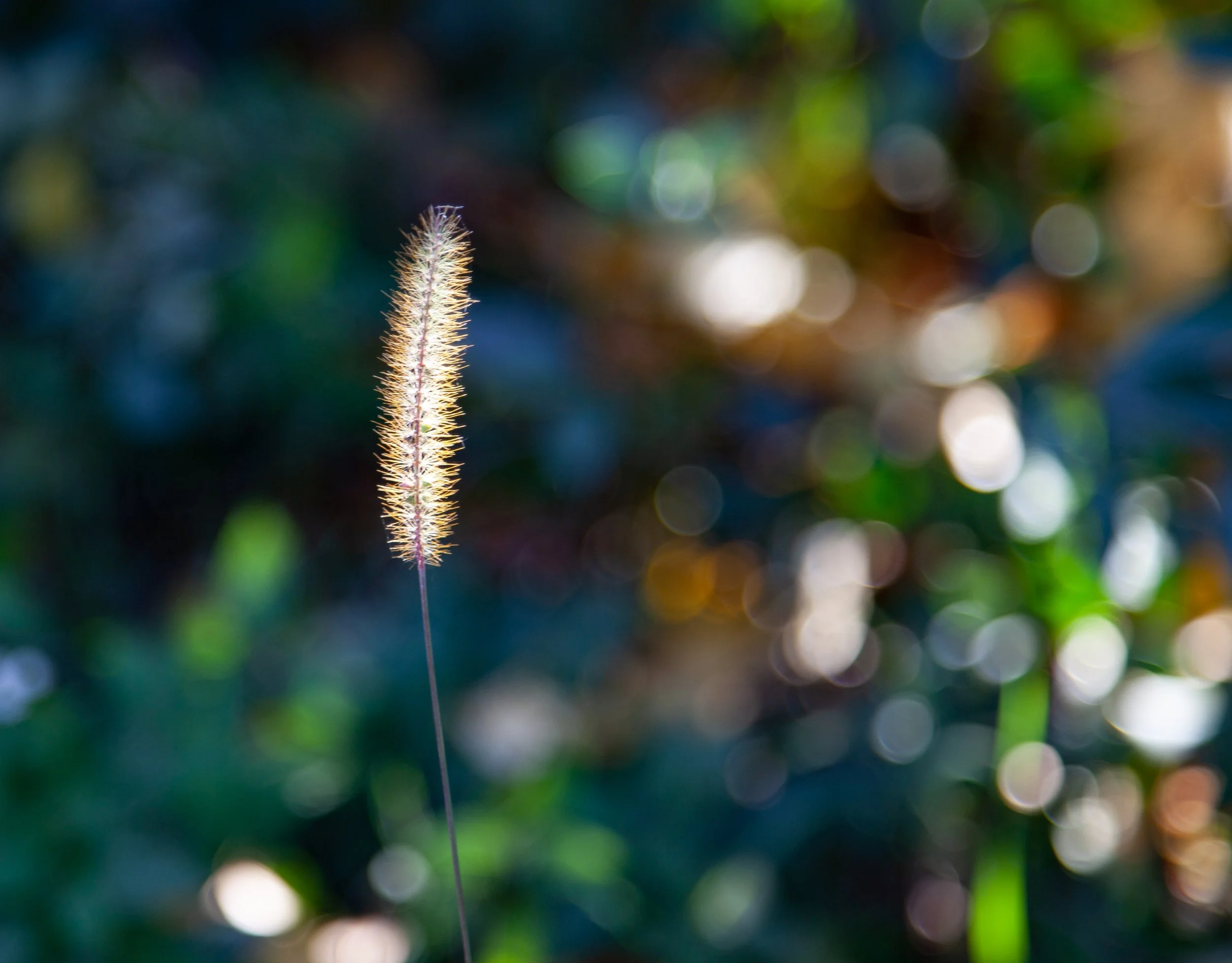  - Sarah Edwards - 2018_11_untitled shoot_00003.jpg