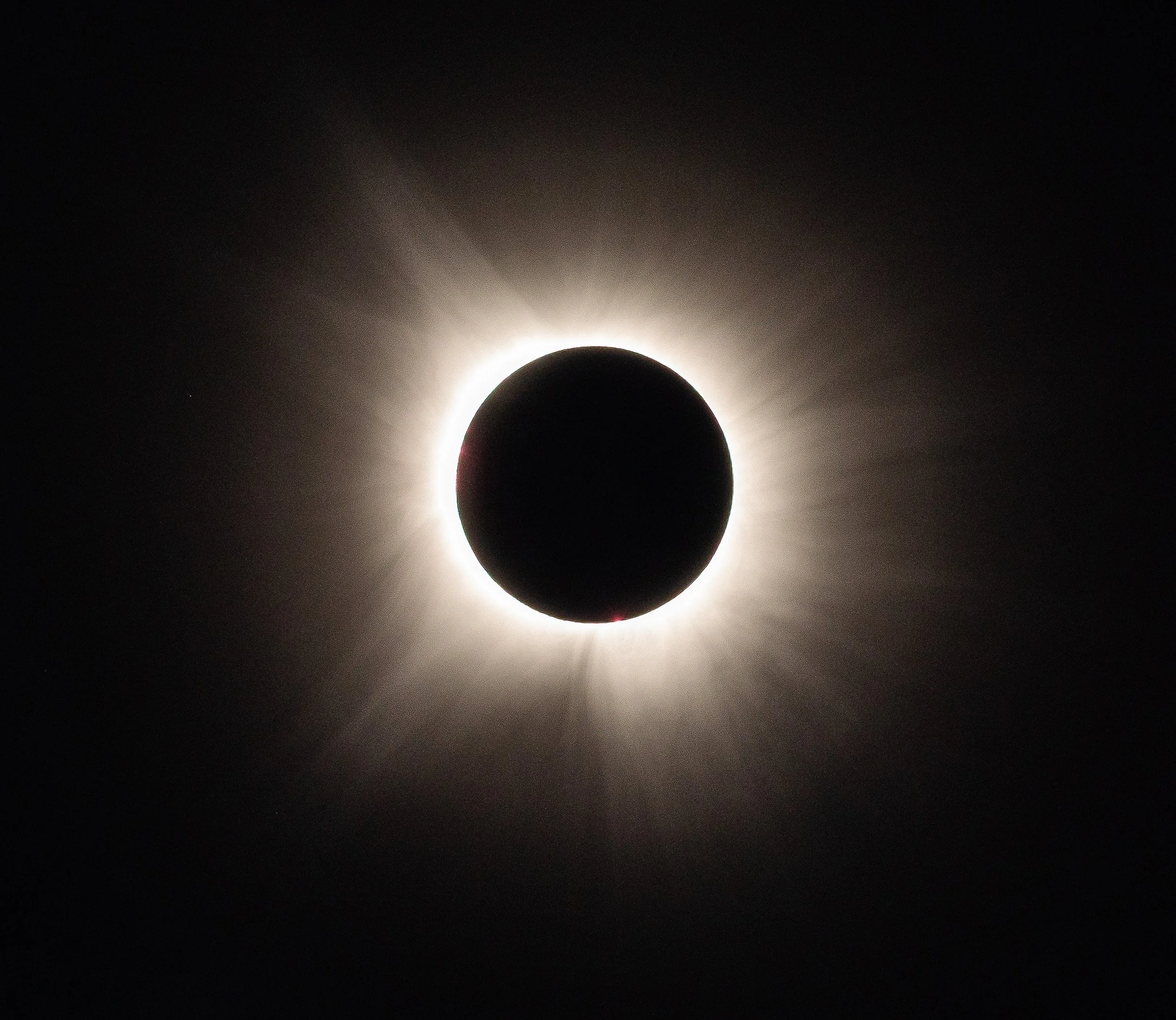  - Sarah Edwards - B47A2614.jpg