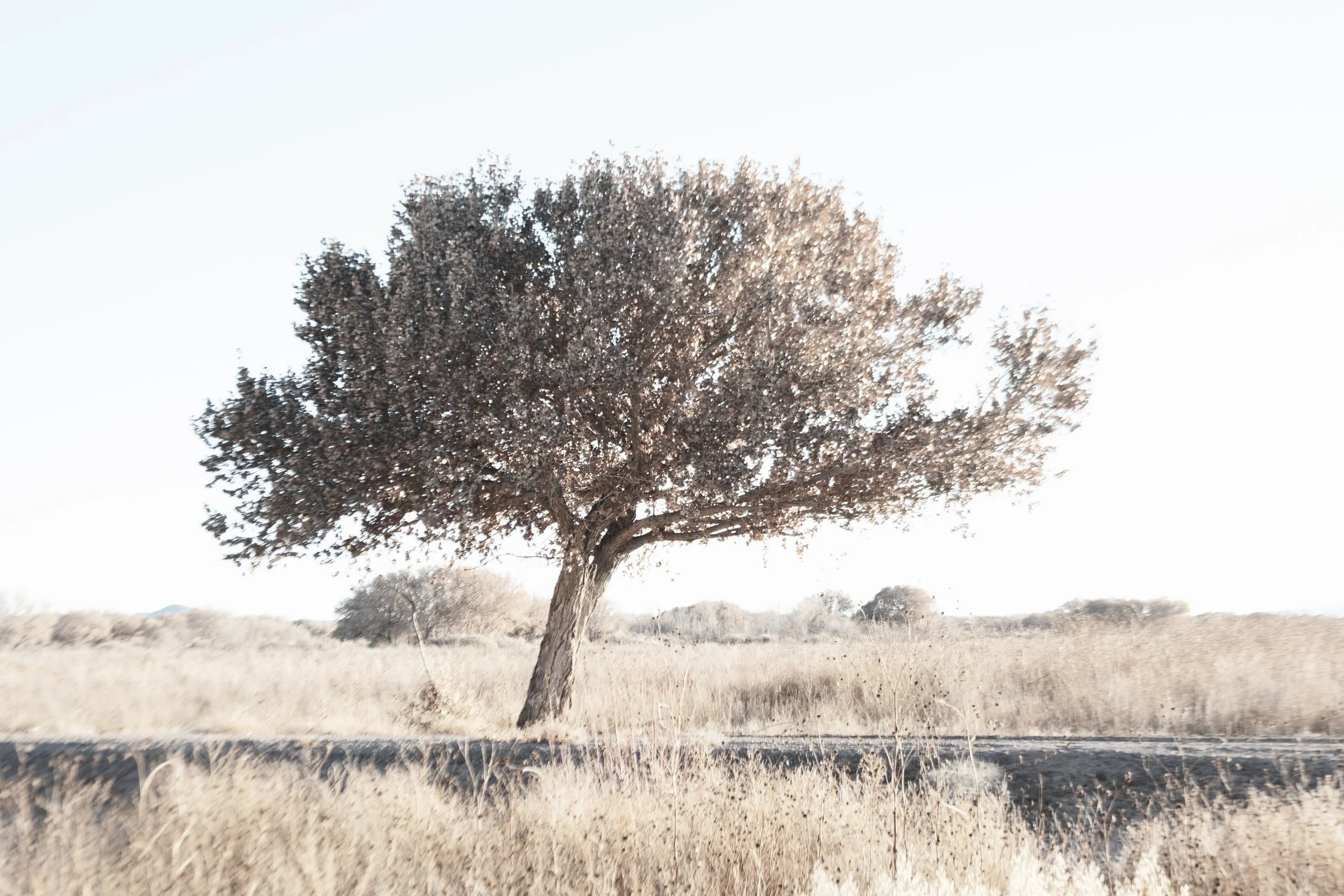  - Sarah Edwards - _DSF7560.jpg